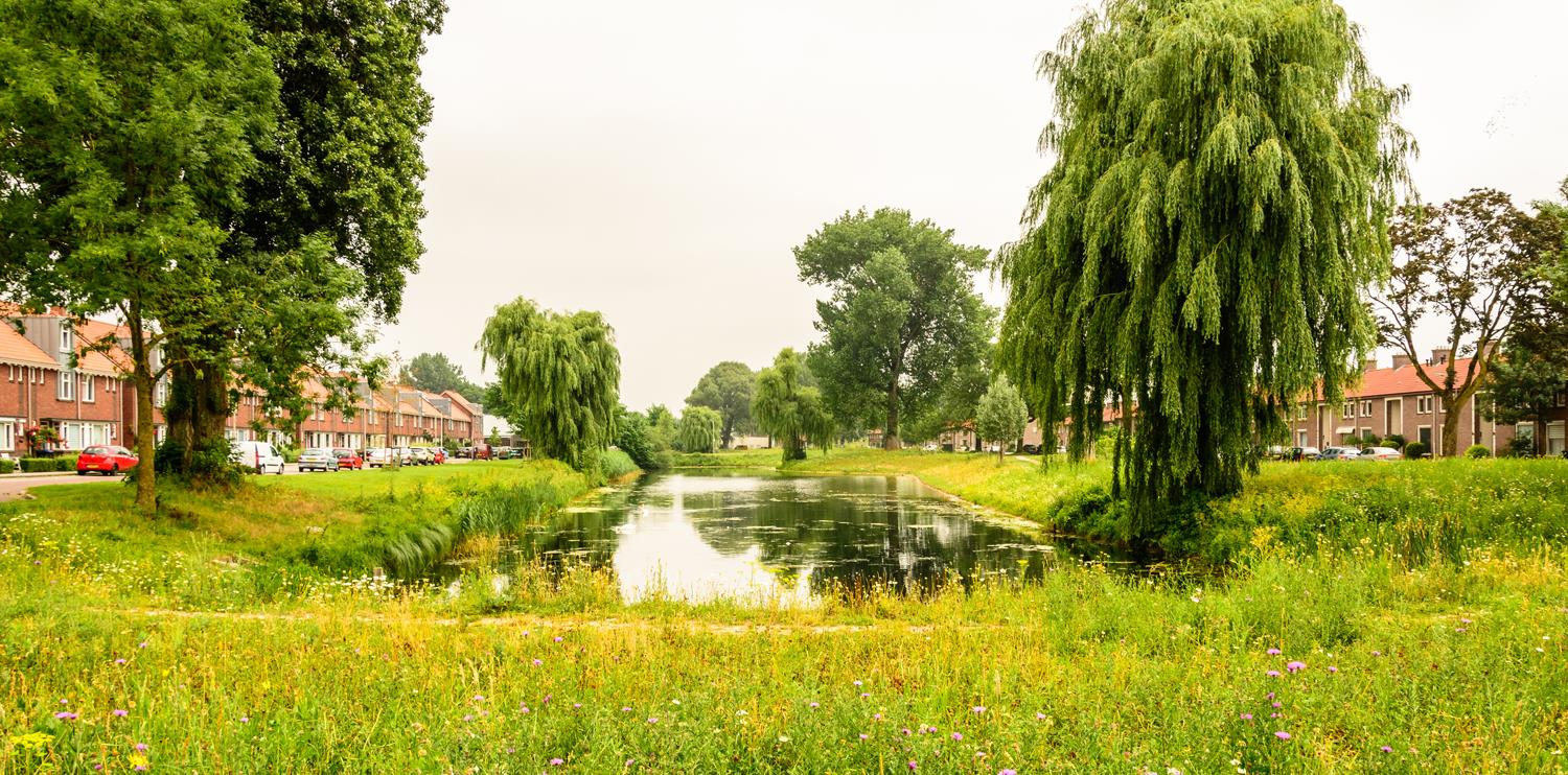 Waterkersstraat 13