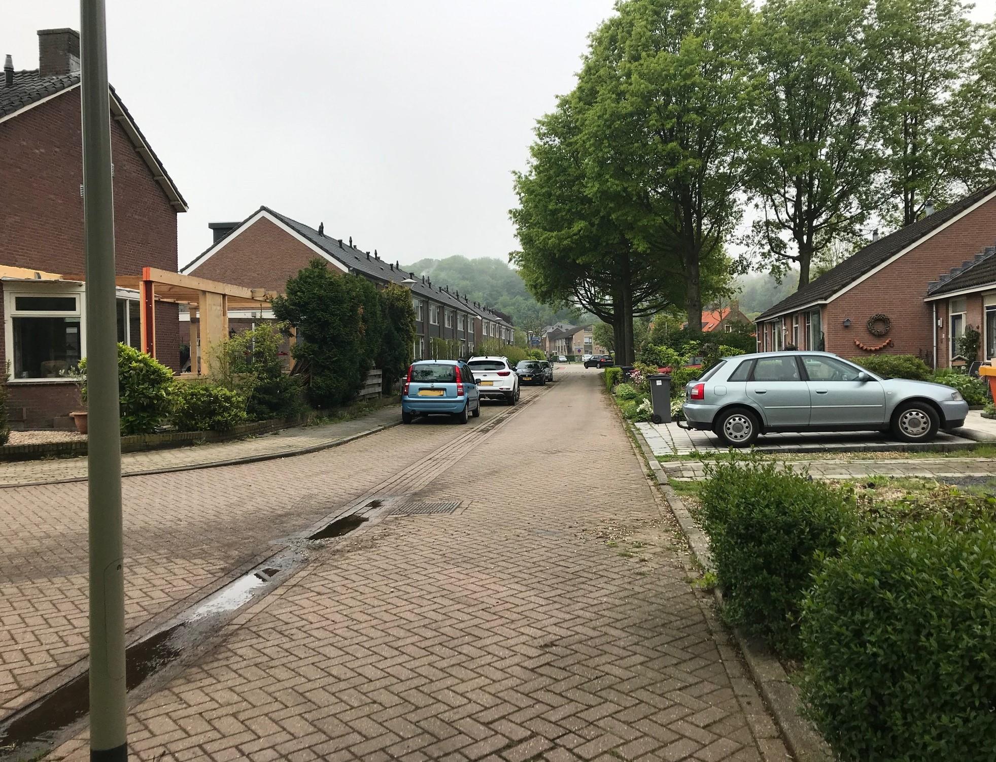 Koekoekstraat 13