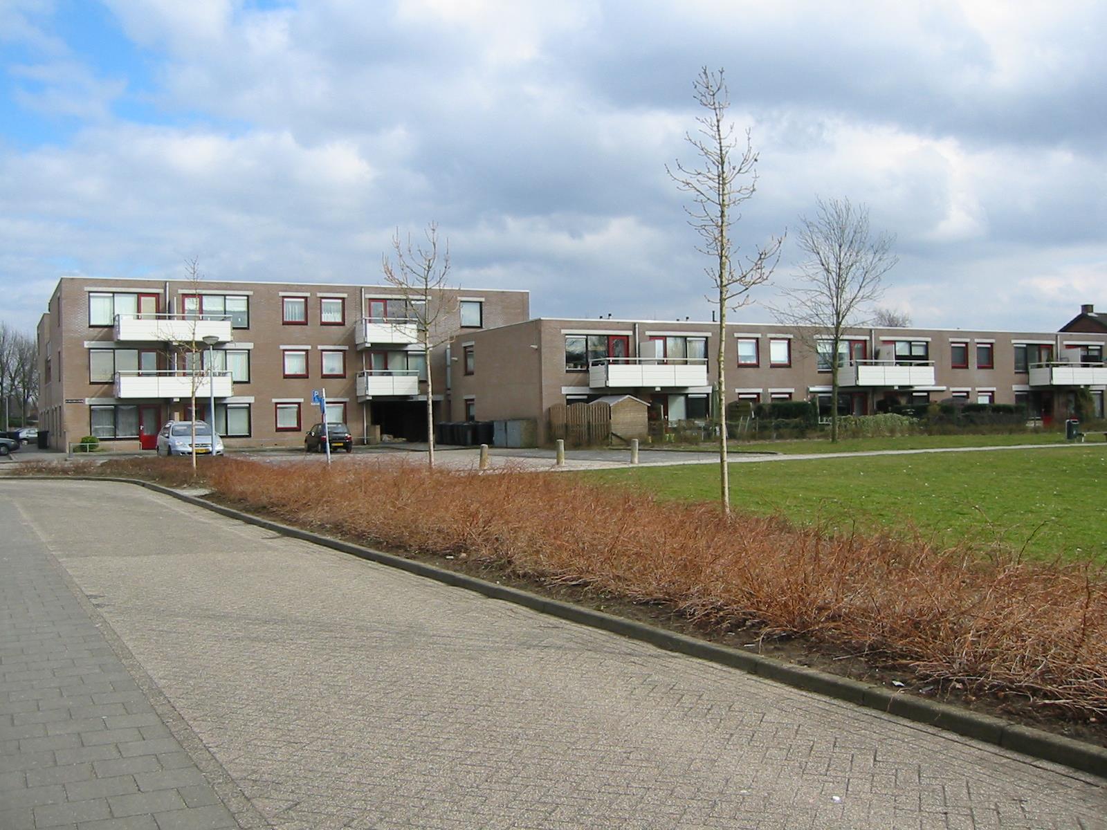 Homberg 3536, 6601 XC Wijchen, Nederland