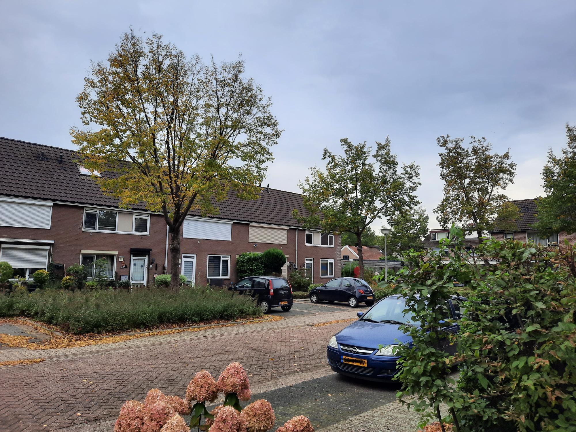 Binnenveld 47