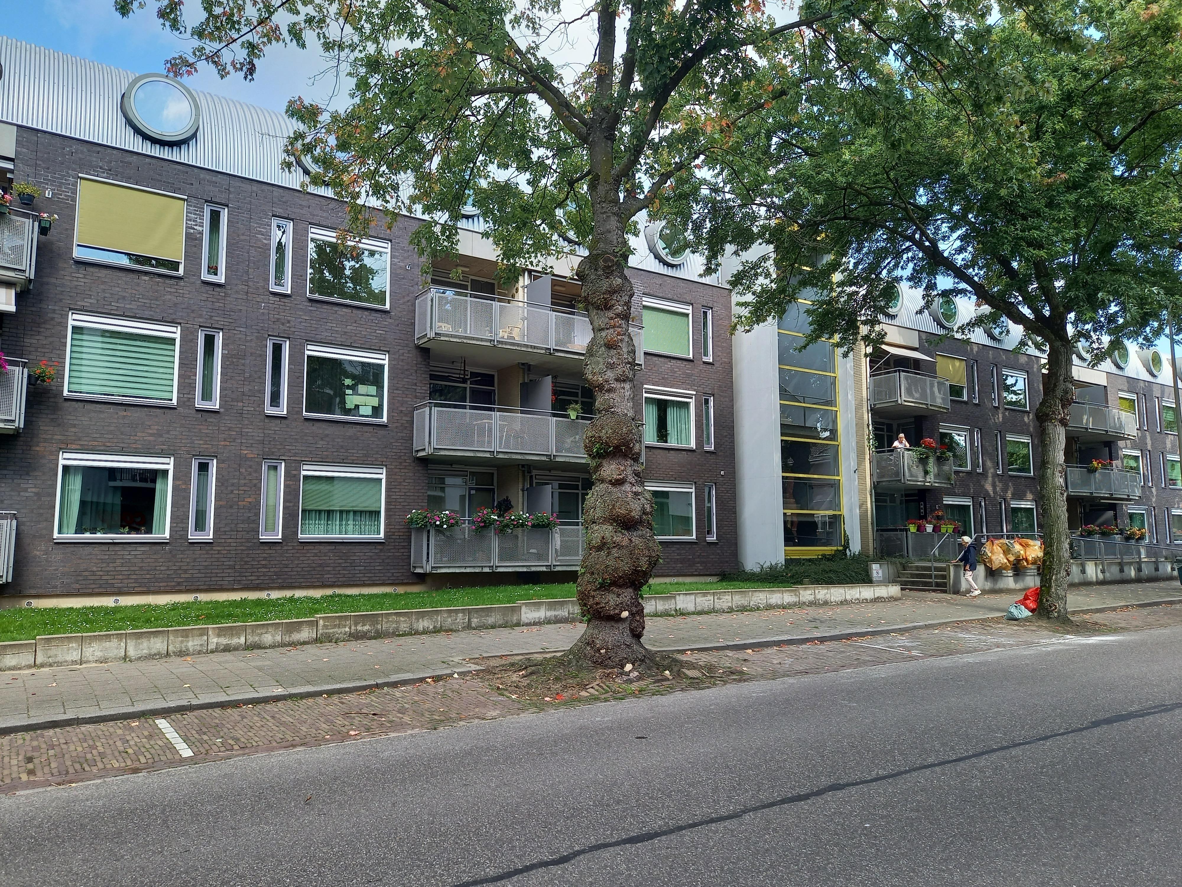 Van Het Sant-straat 263, 6523 BE Nijmegen, Nederland