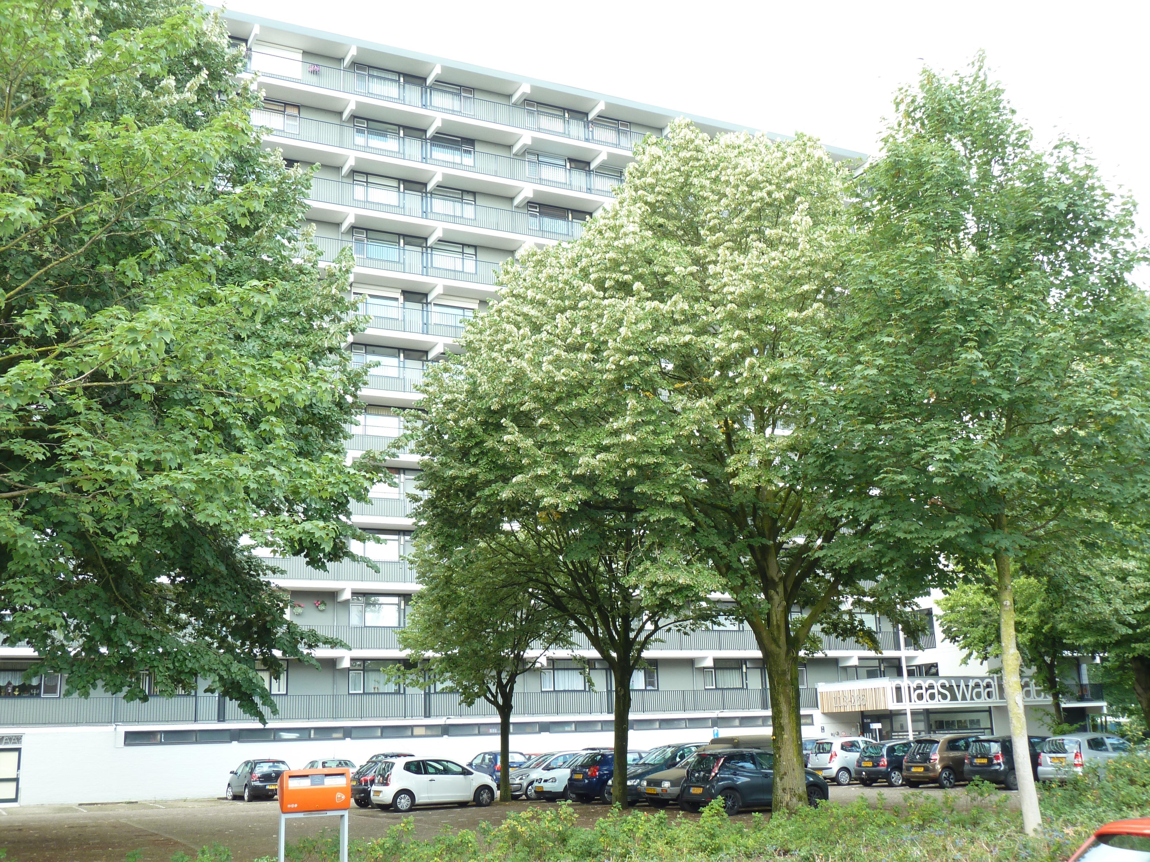 Symfoniestraat 241, 6544 TJ Nijmegen, Nederland