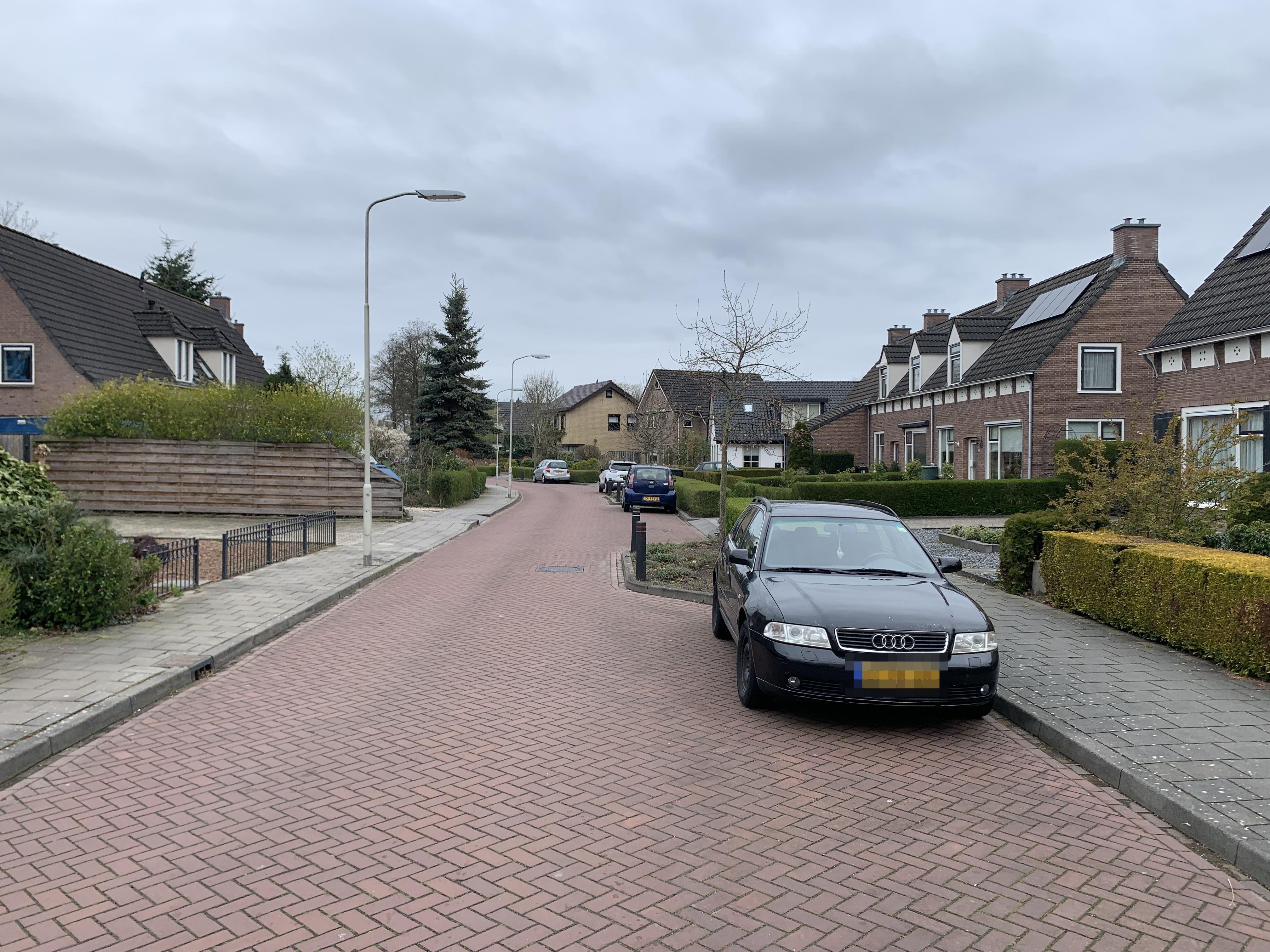 Drostlaan 12