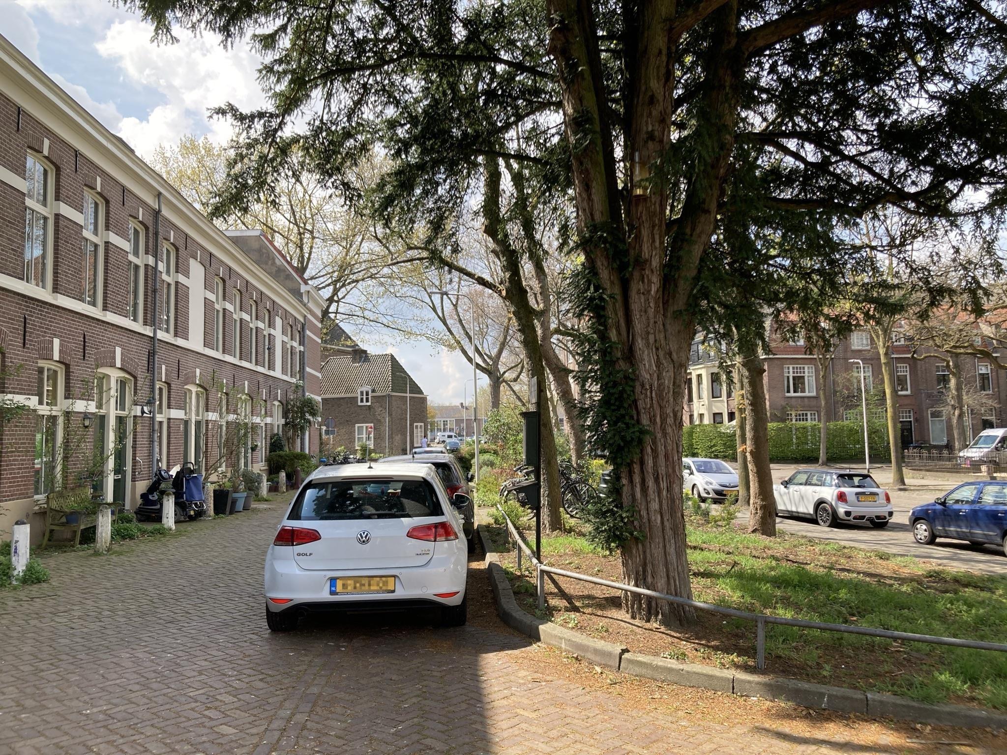 Waldeck Pyrmontsingel 31