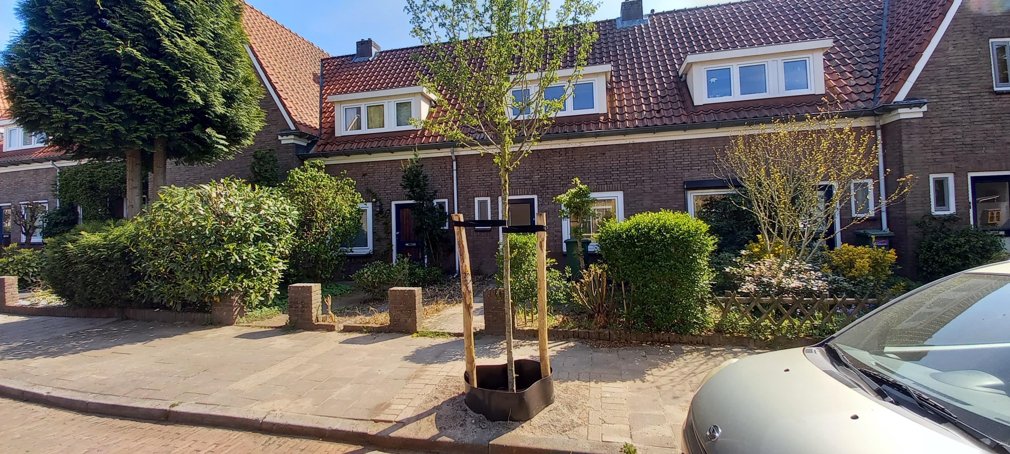 Meidoornstraat 6, 6523 GJ Nijmegen, Nederland