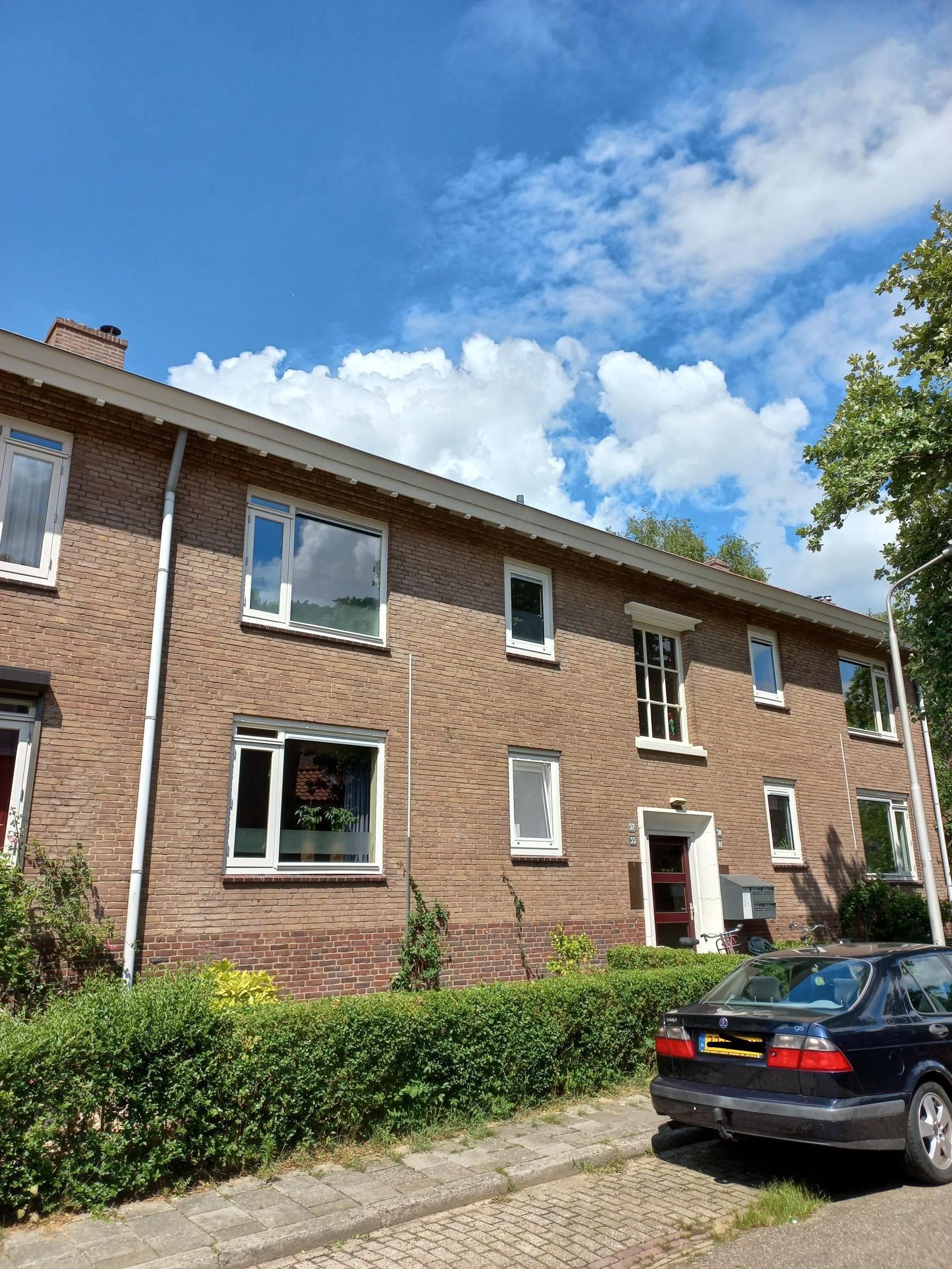 Lijsterbesstraat 55