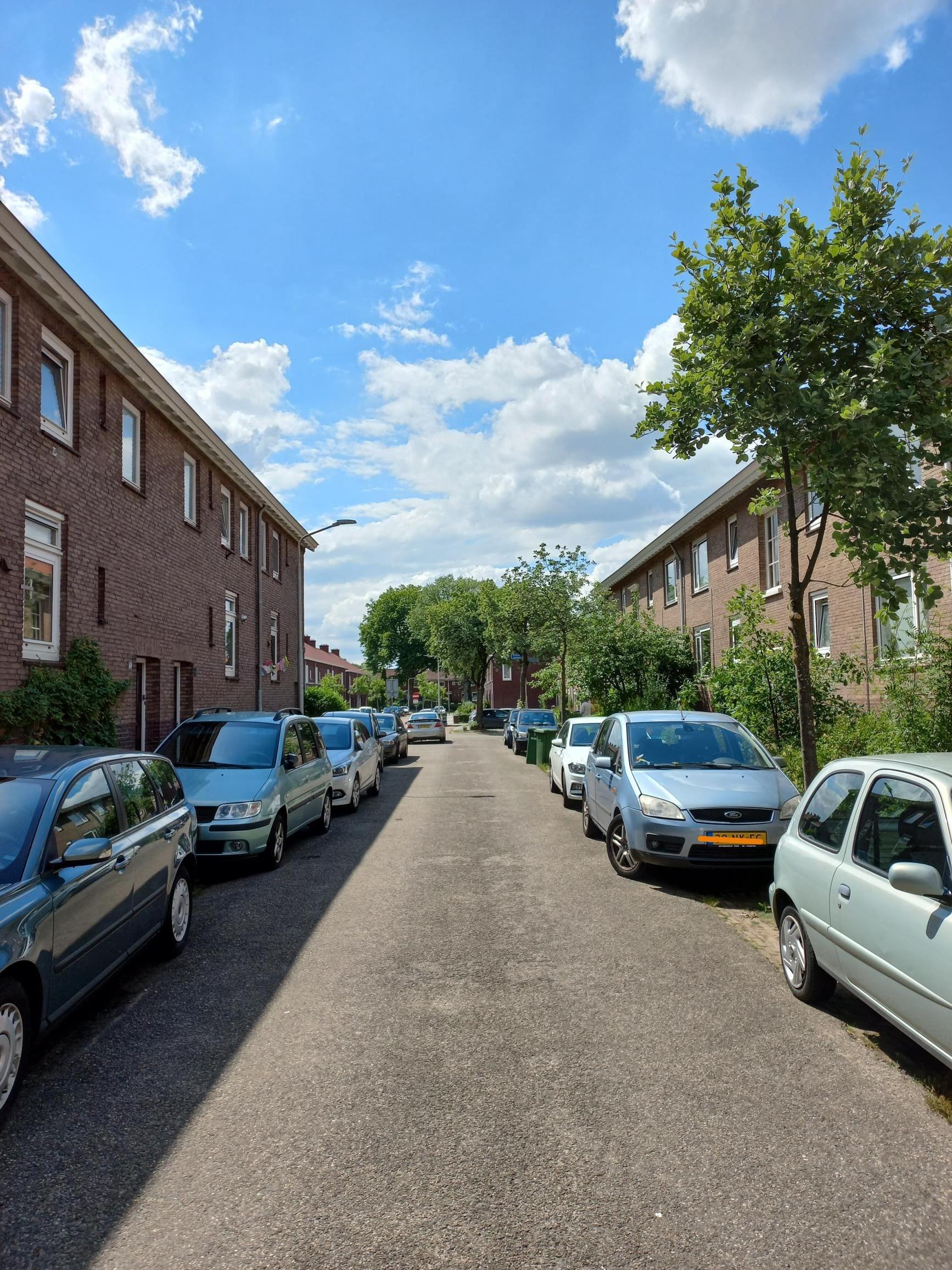 Lijsterbesstraat 55