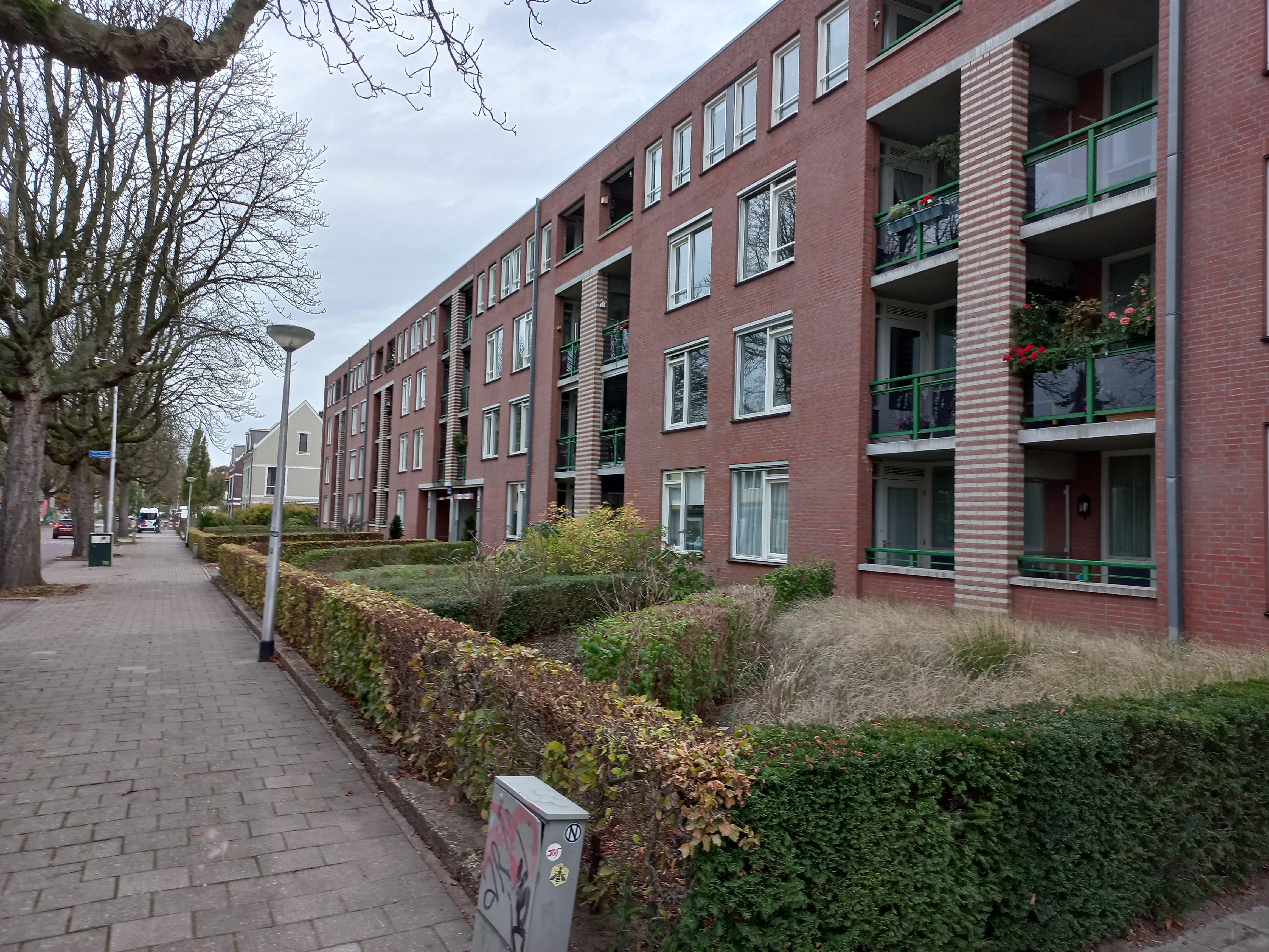 Archipelstraat 60