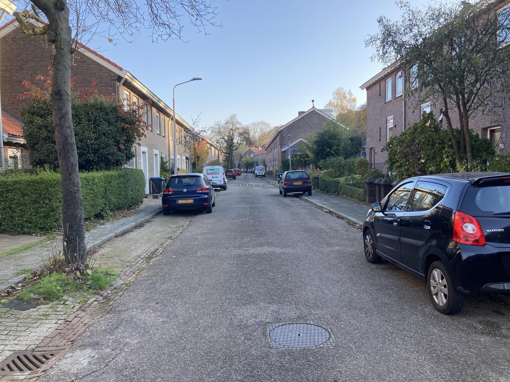 Lijsterbesstraat 60