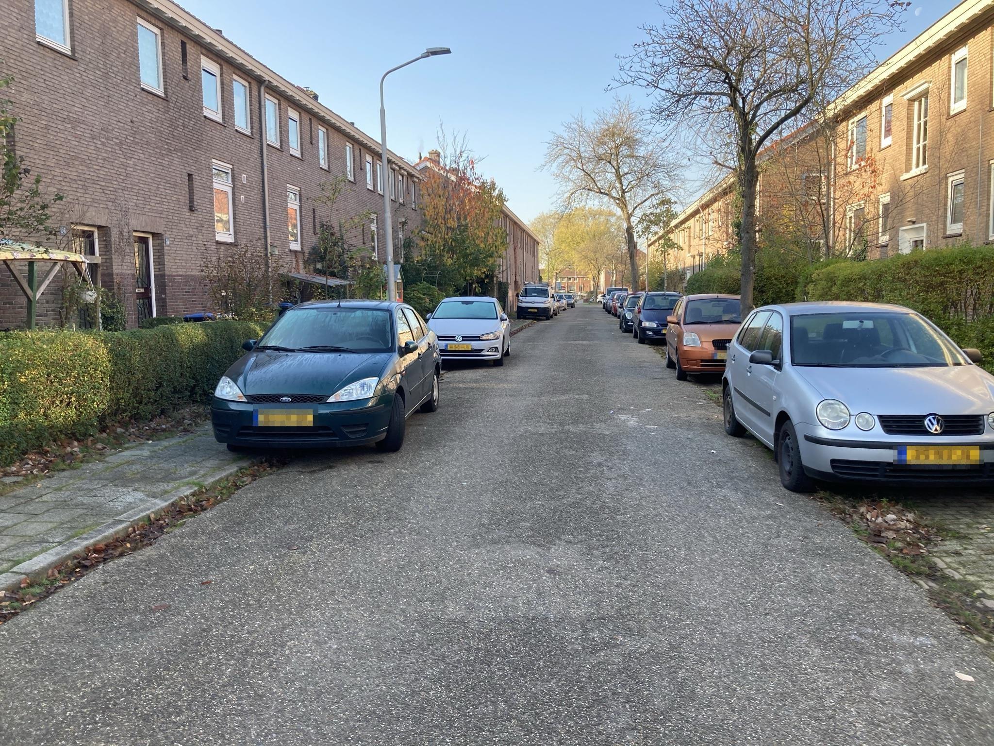 Lijsterbesstraat 60