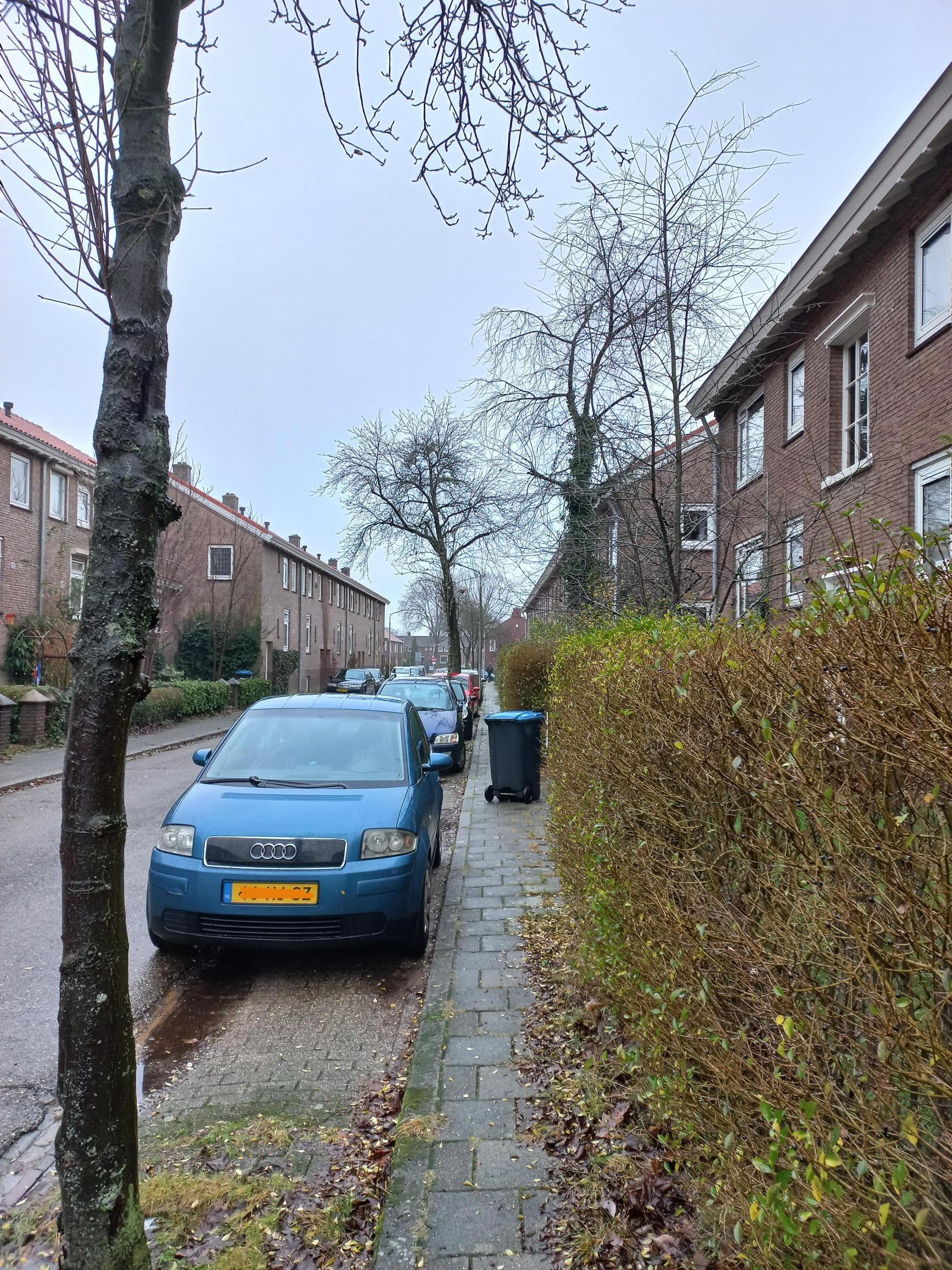 Lijsterbesstraat 75