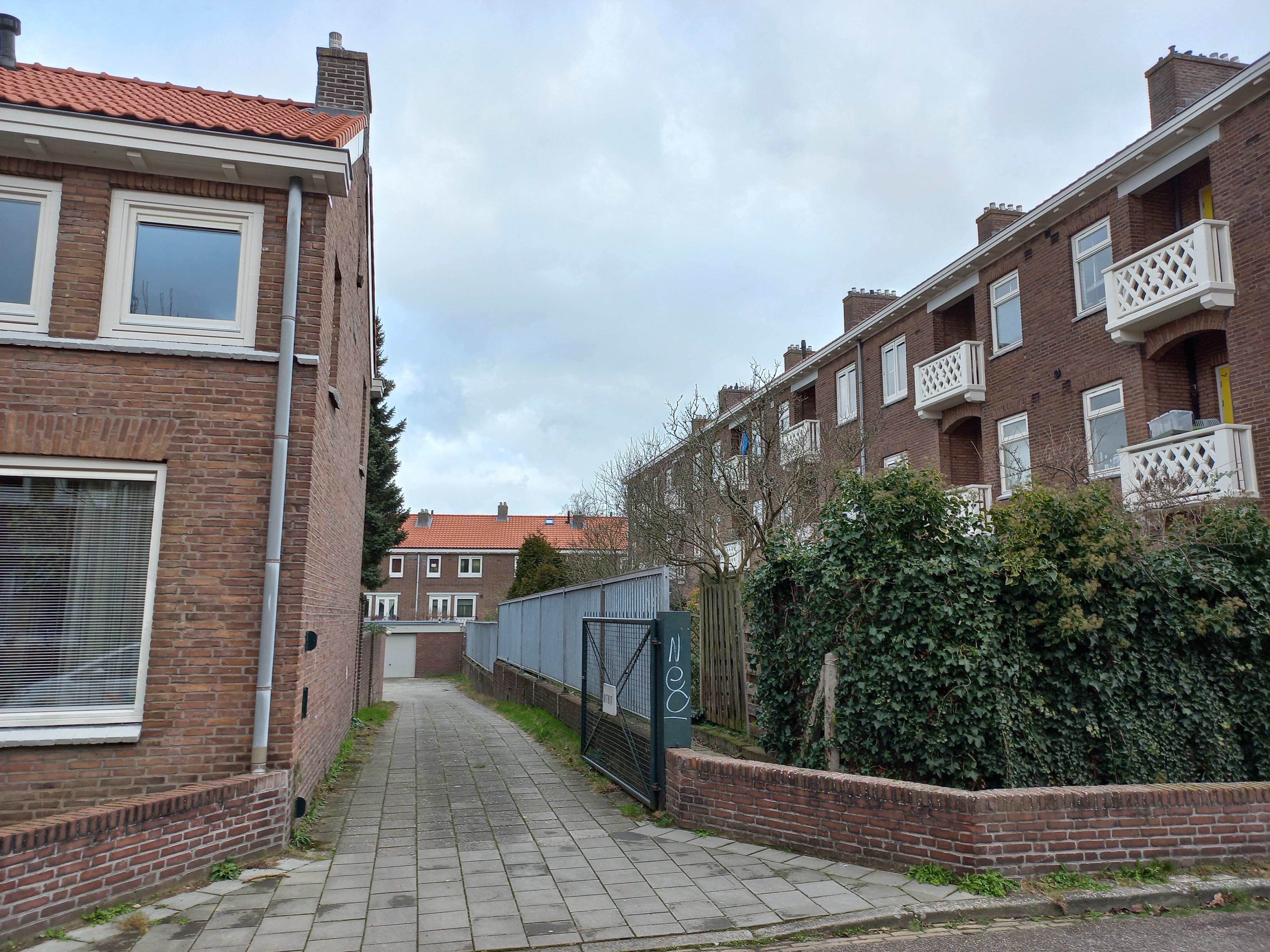 Olijfwilgstraat 11