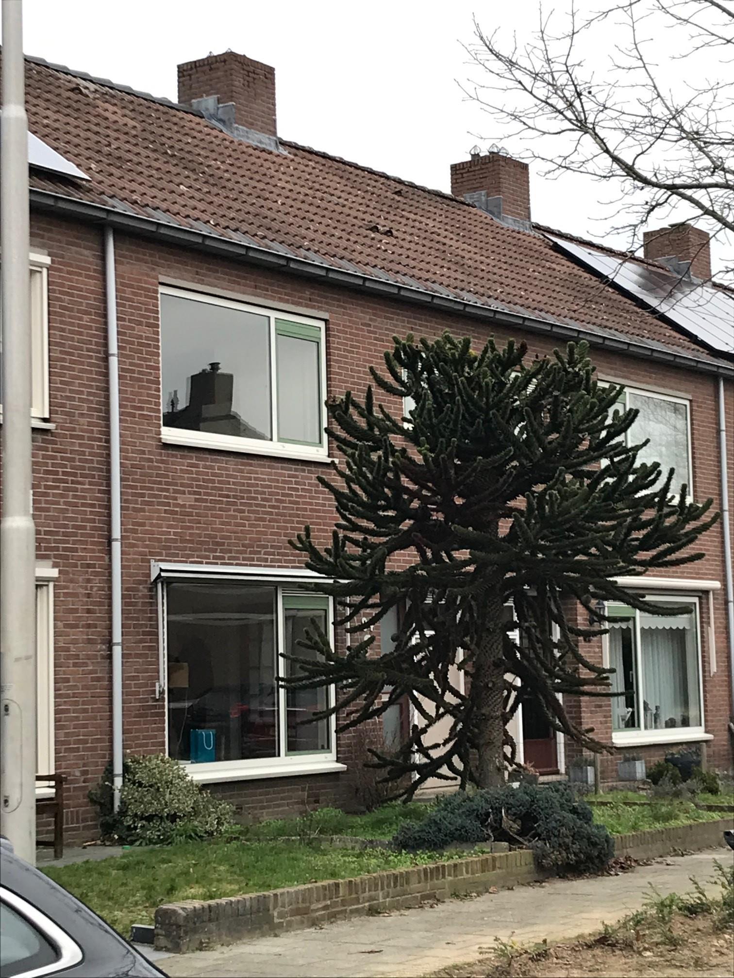 Kanunnik van de Putstraat 34, 6525 WP Nijmegen, Nederland