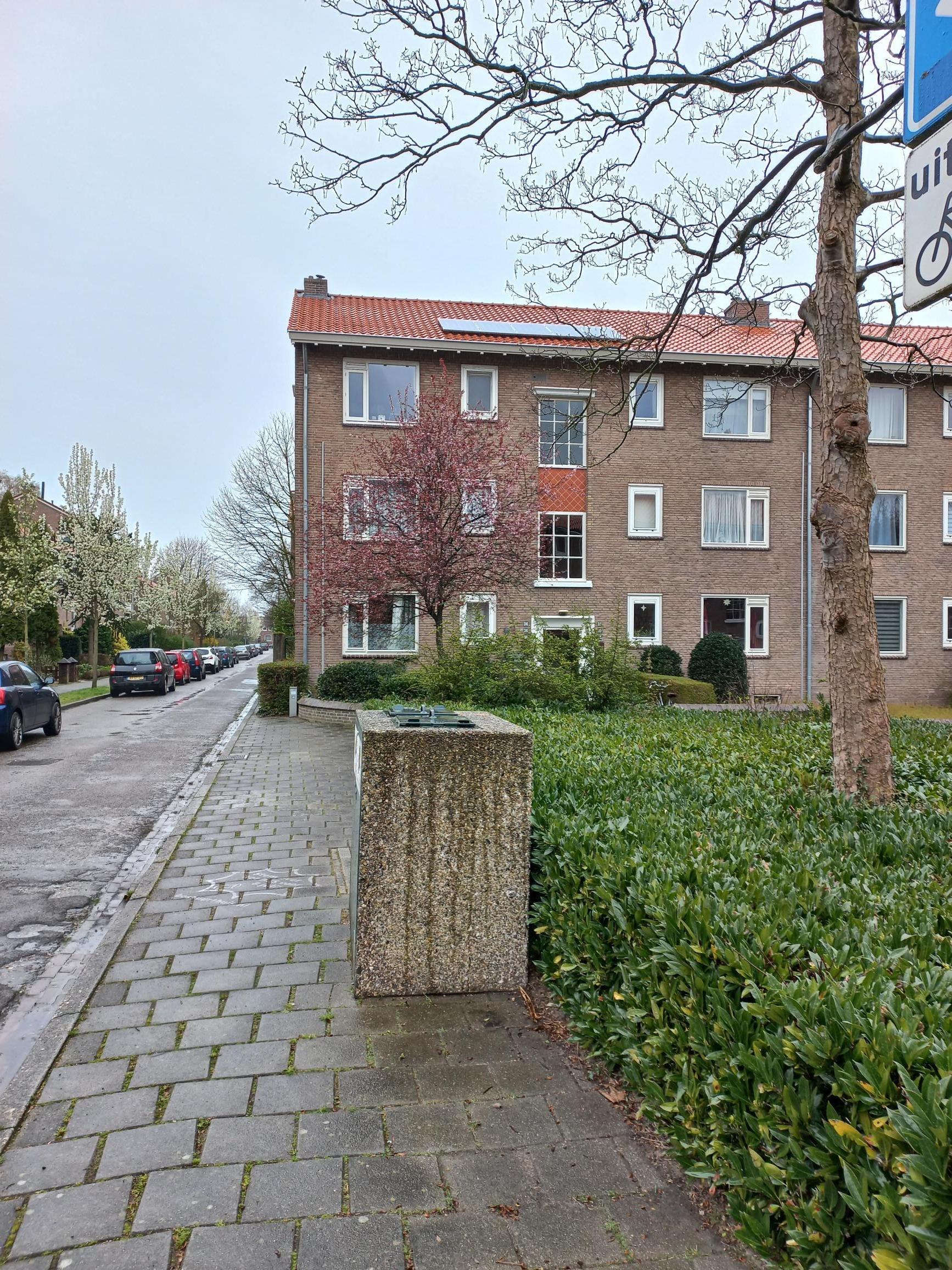 Moerbeistraat 17