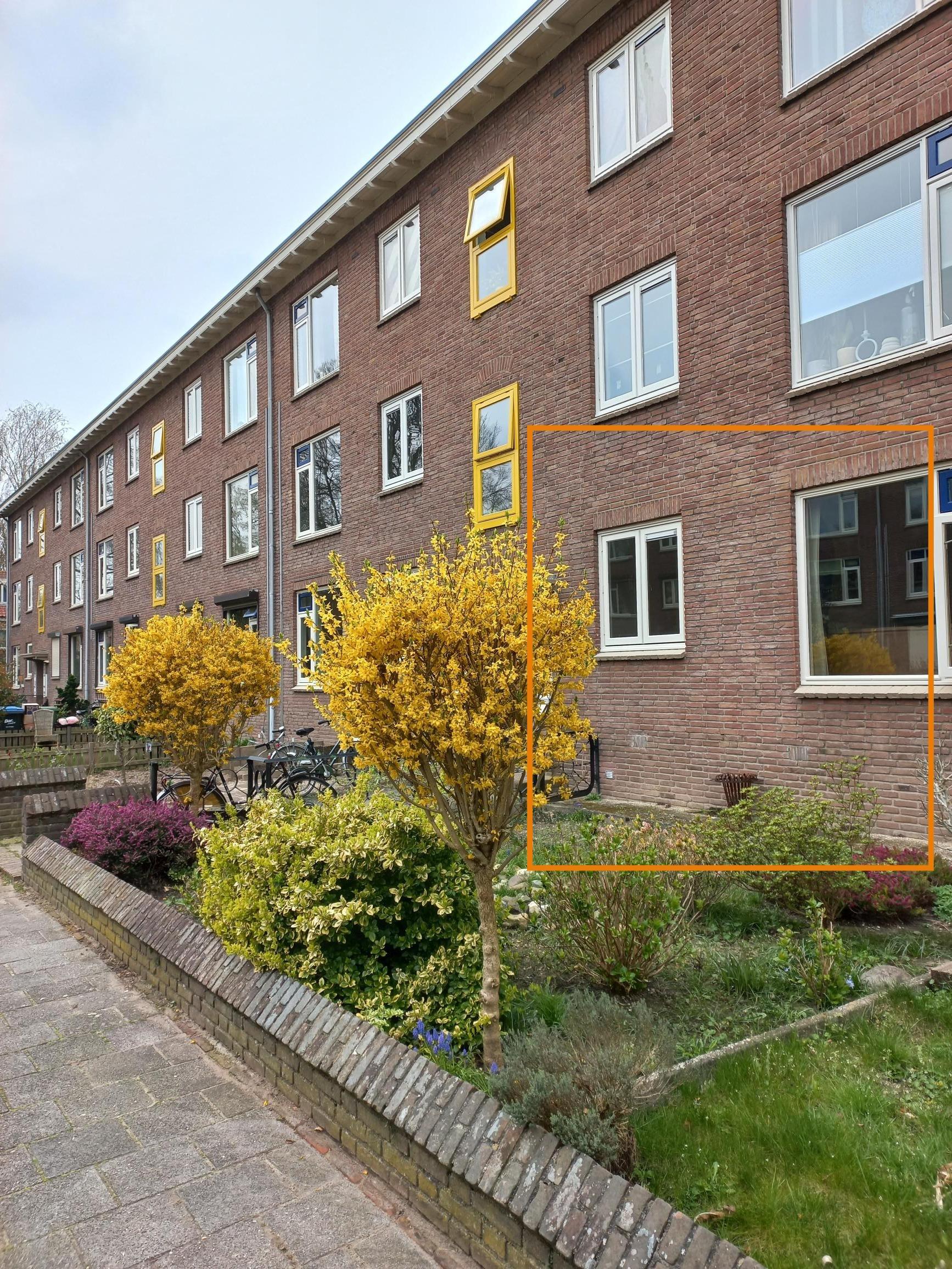 Cipresstraat 98