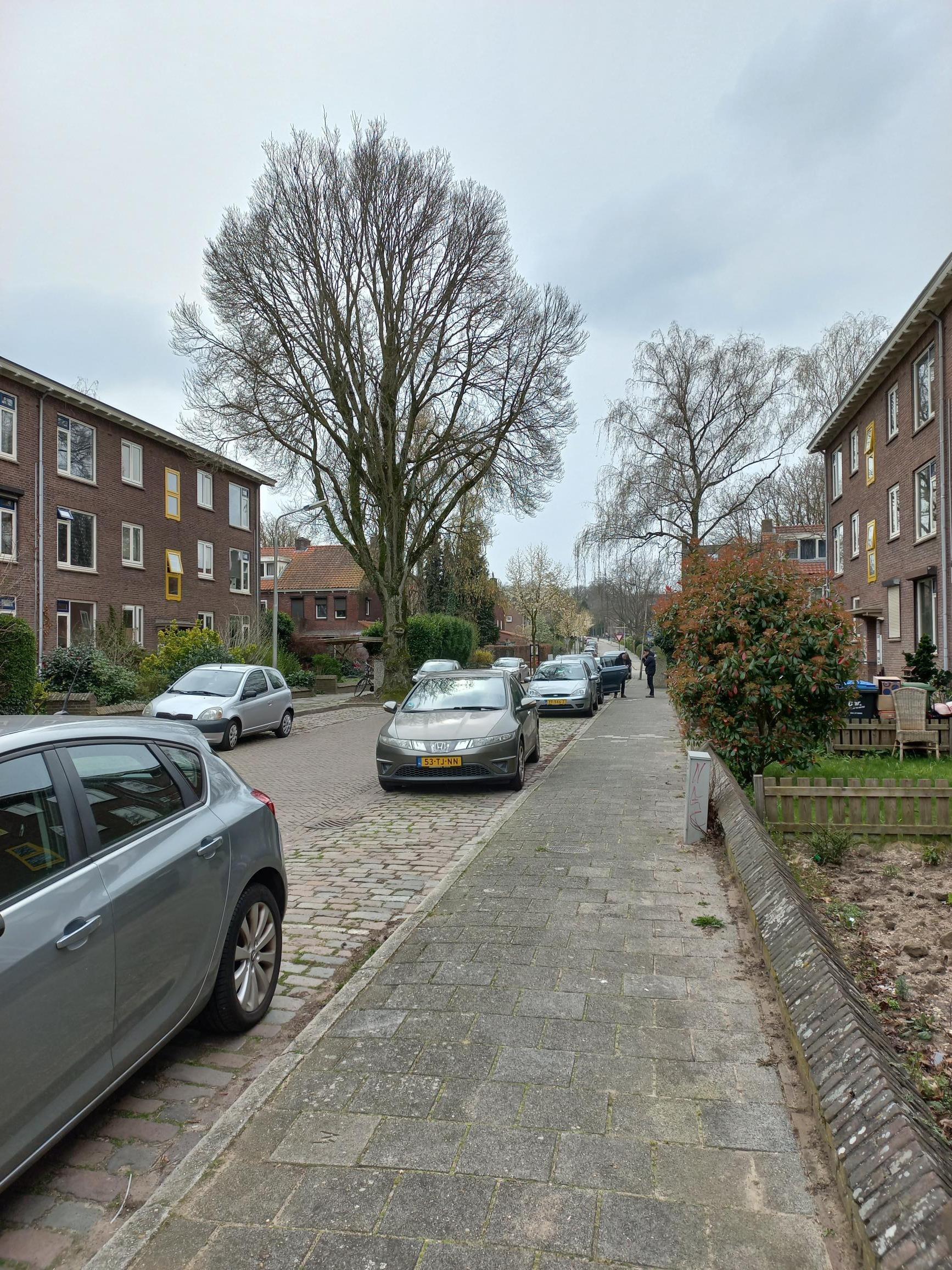 Cipresstraat 98