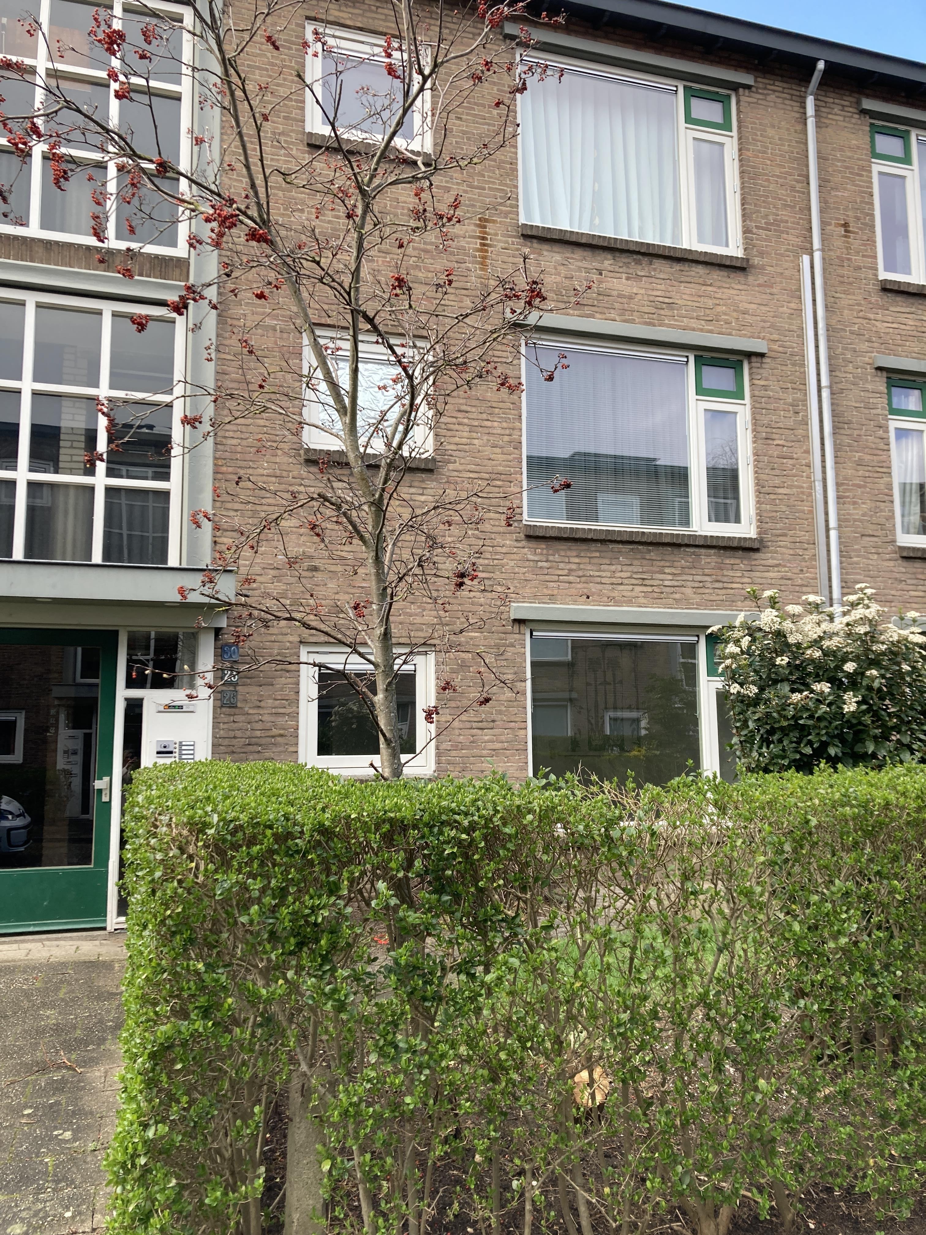 Hofstraat 6, 6533 XC Nijmegen, Nederland