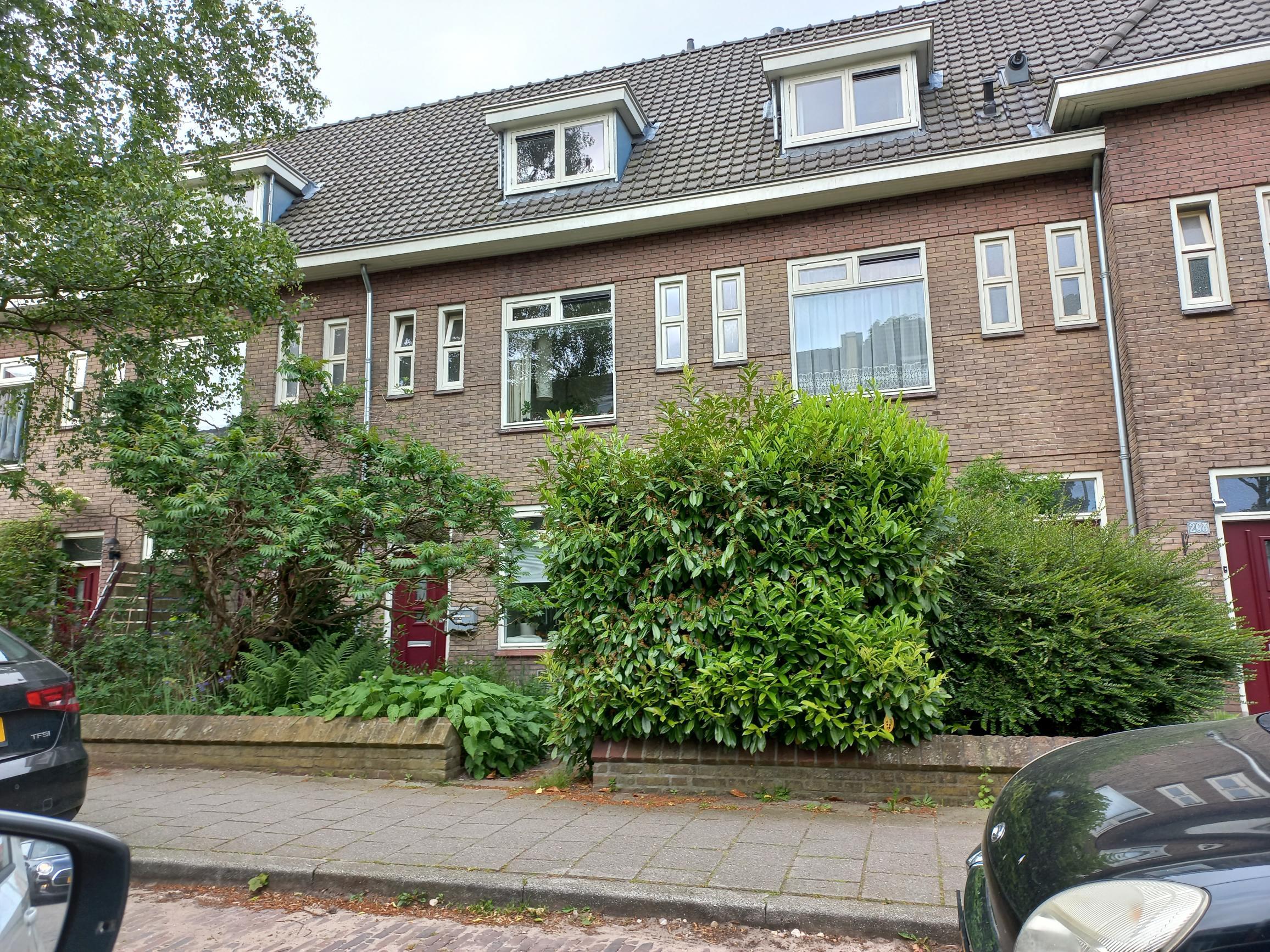 Daalseweg 274, 6523 CD Nijmegen, Nederland