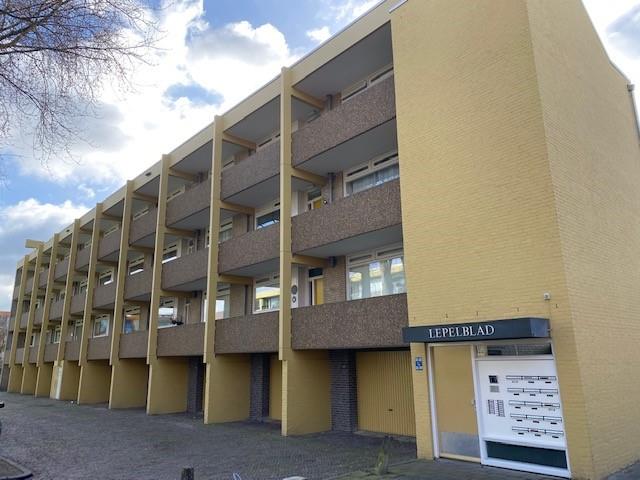 Meijhorst 3240, 6537 HX Nijmegen, Nederland