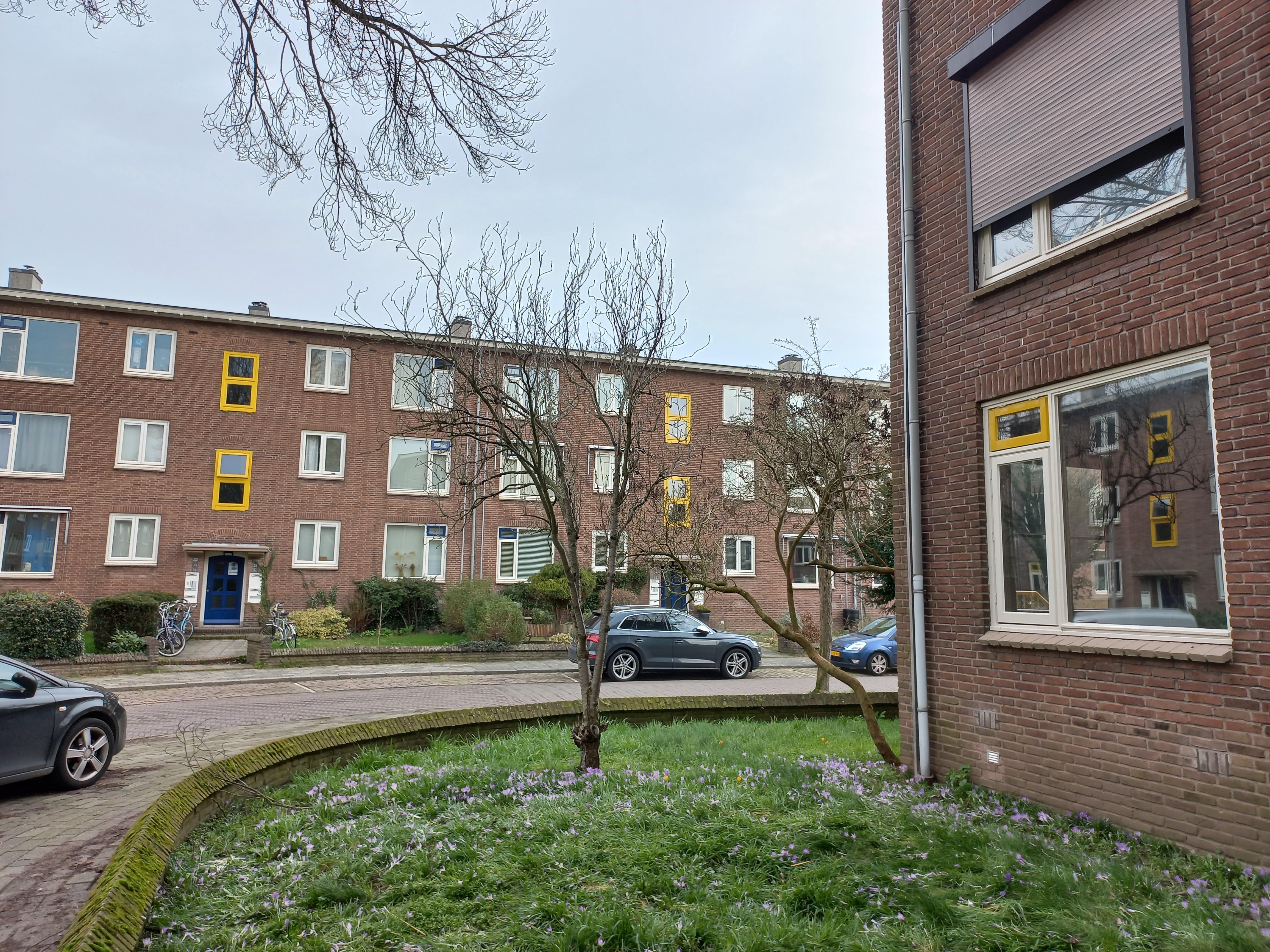 Cipresstraat 13