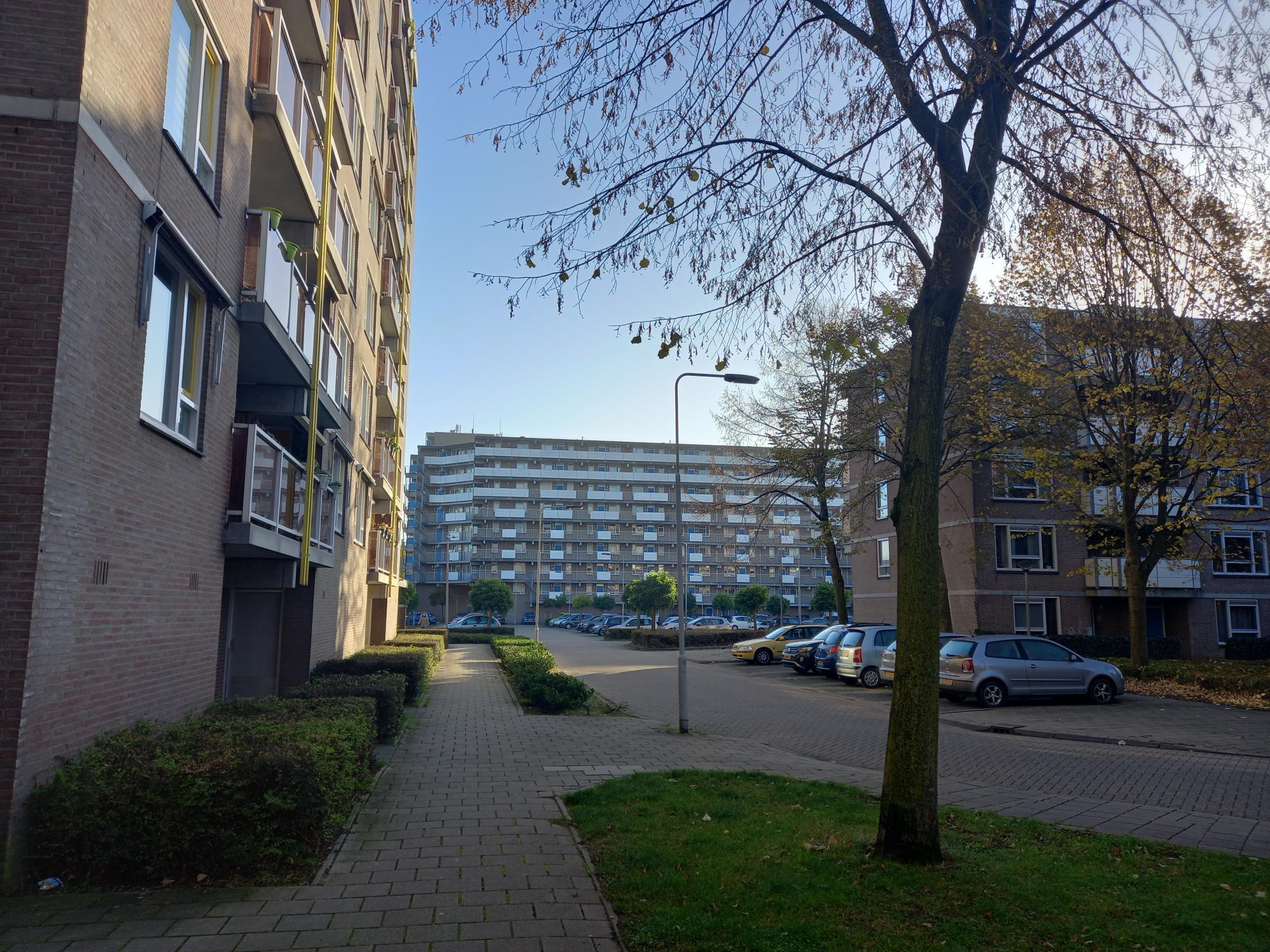 Kronenburgsingel 783