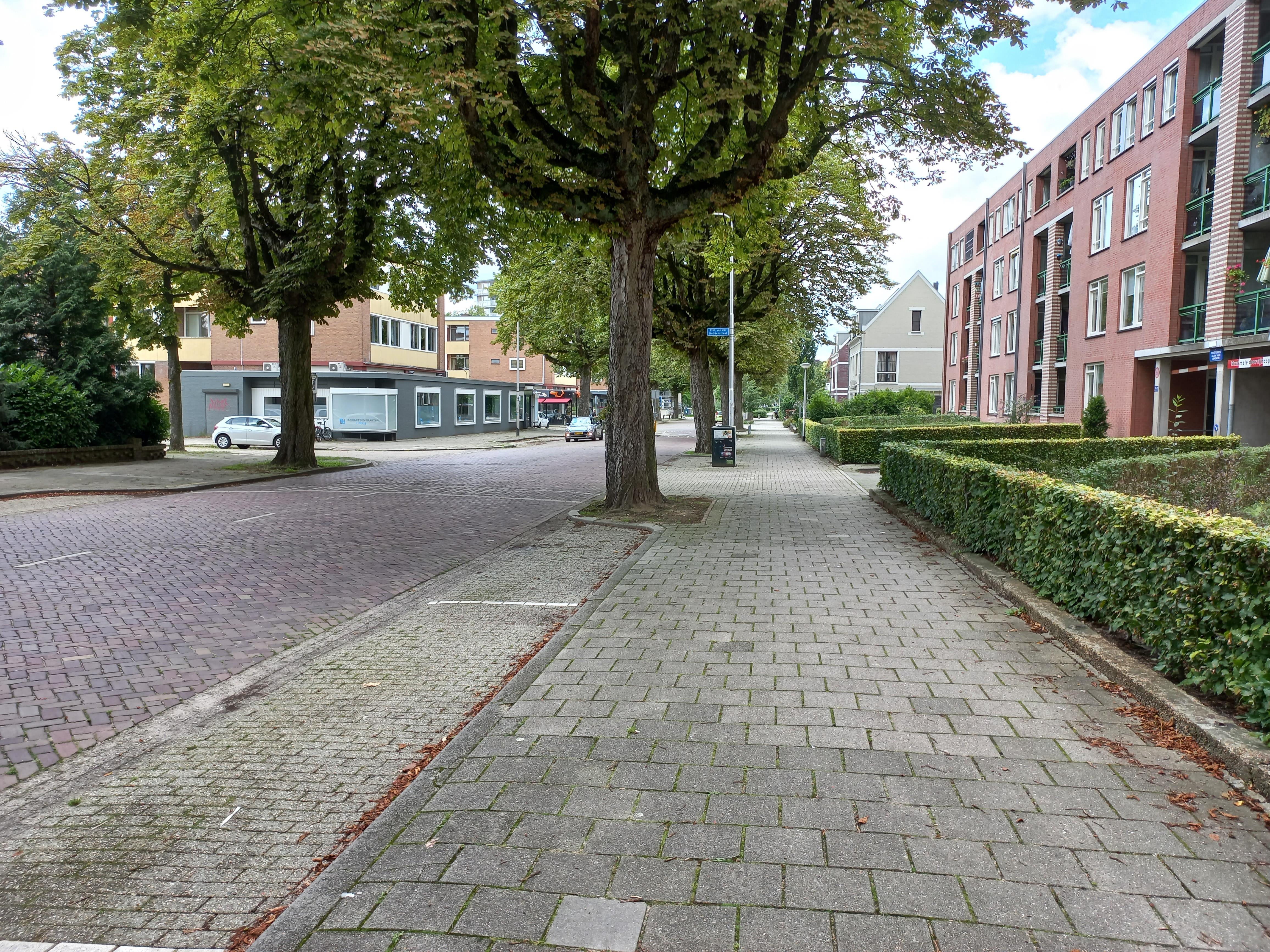 Archipelstraat 84