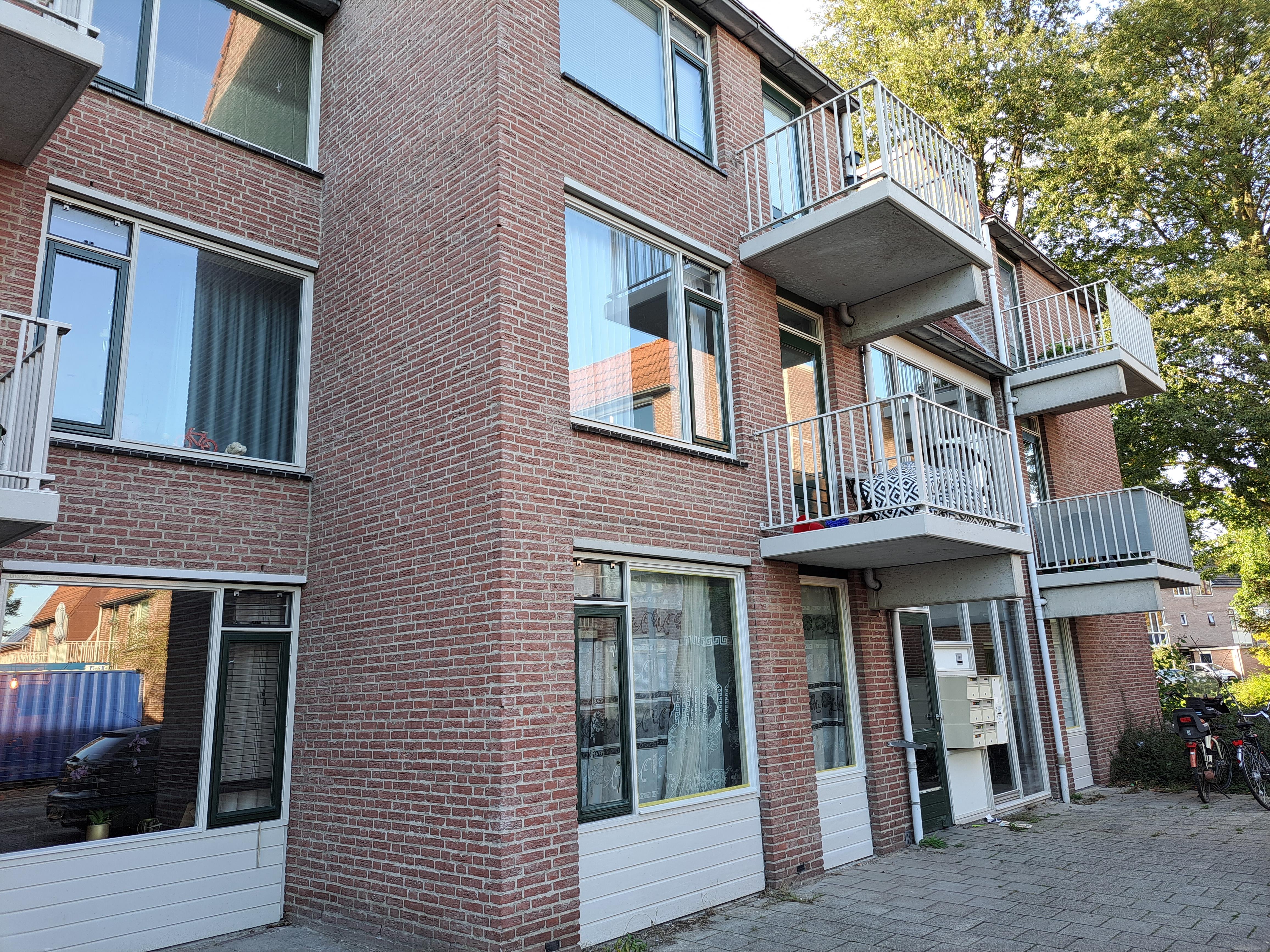 Ridderspoor 16