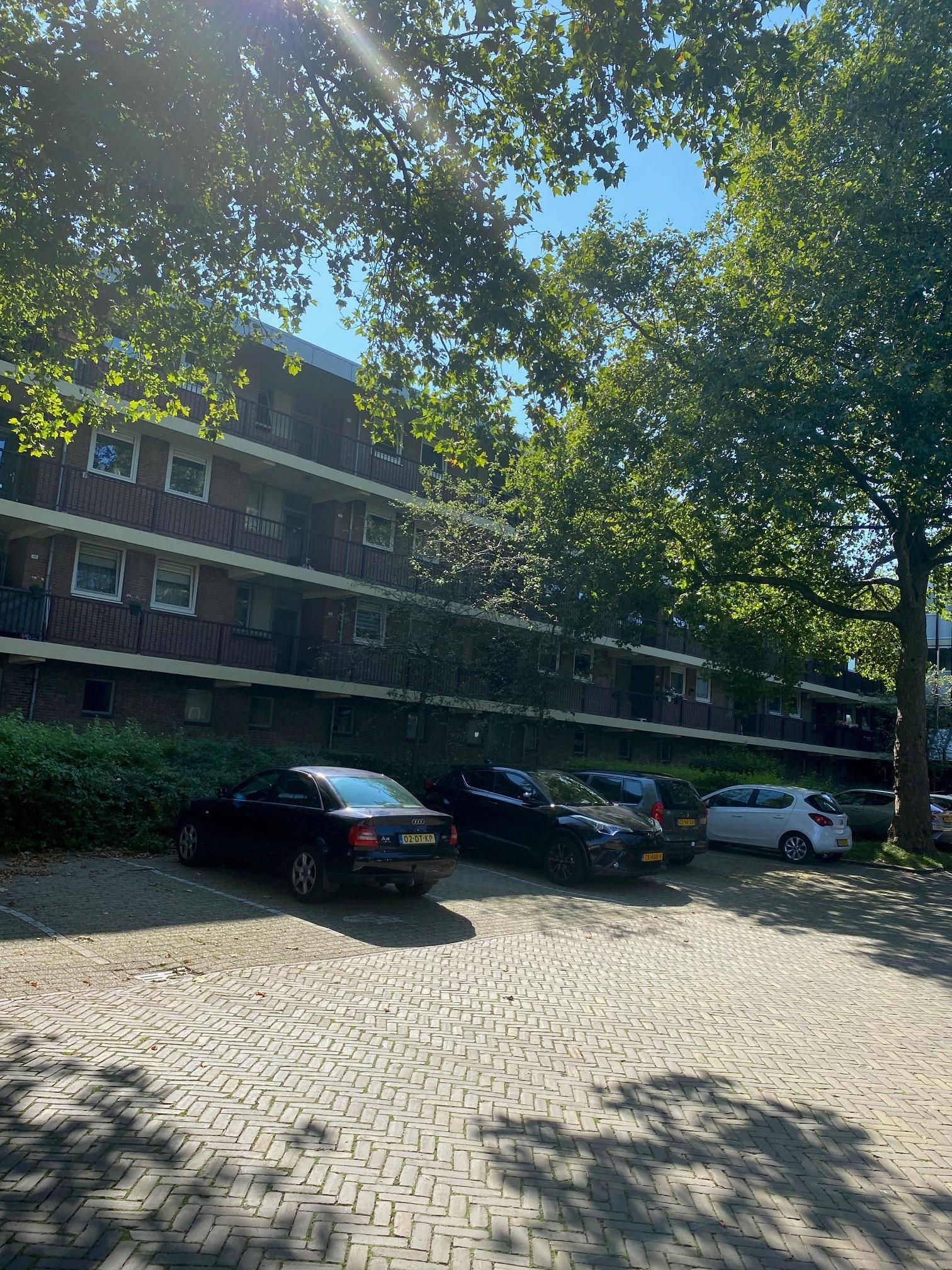 Molecatenstraat 78, 6825 GW Arnhem, Nederland