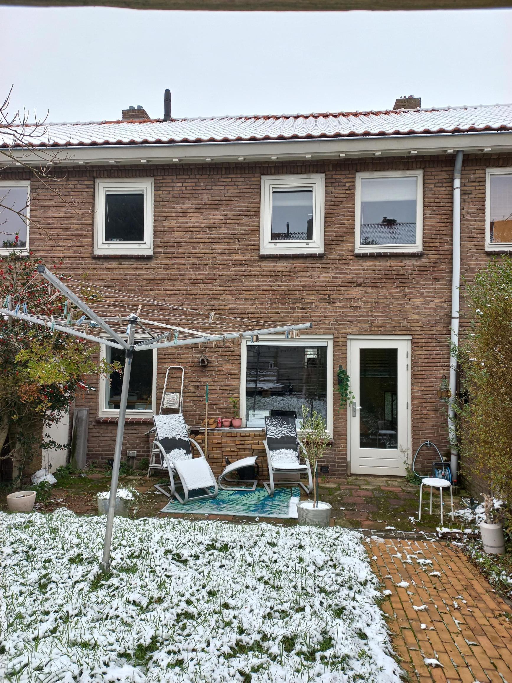 Olijfwilgstraat 34