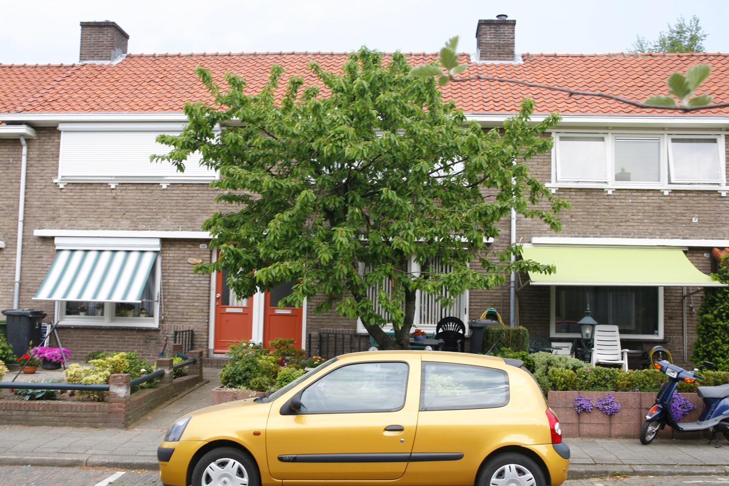 Sint Janskerkstraat 111, 6822 EK Arnhem, Nederland