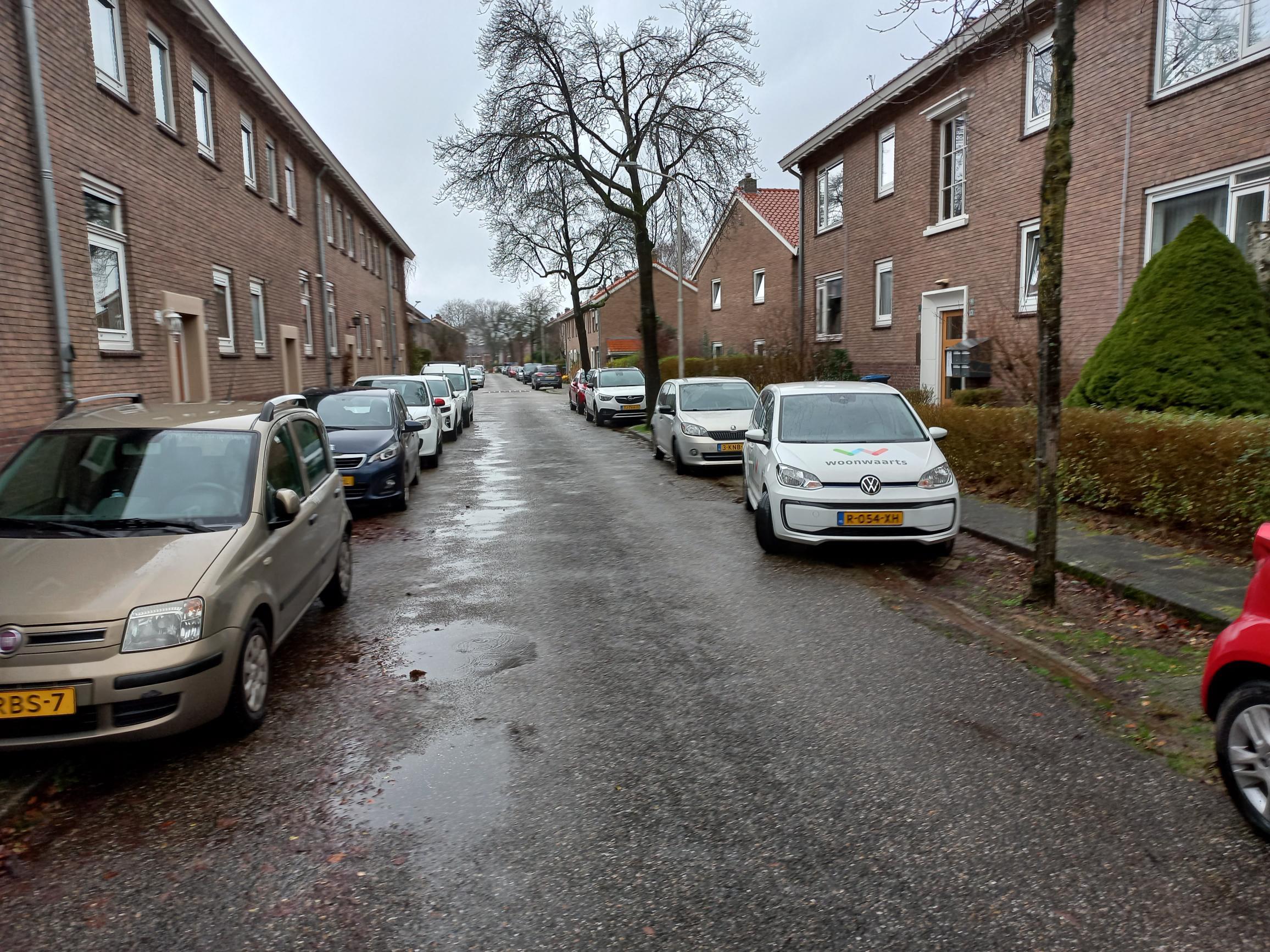 Lijsterbesstraat 105