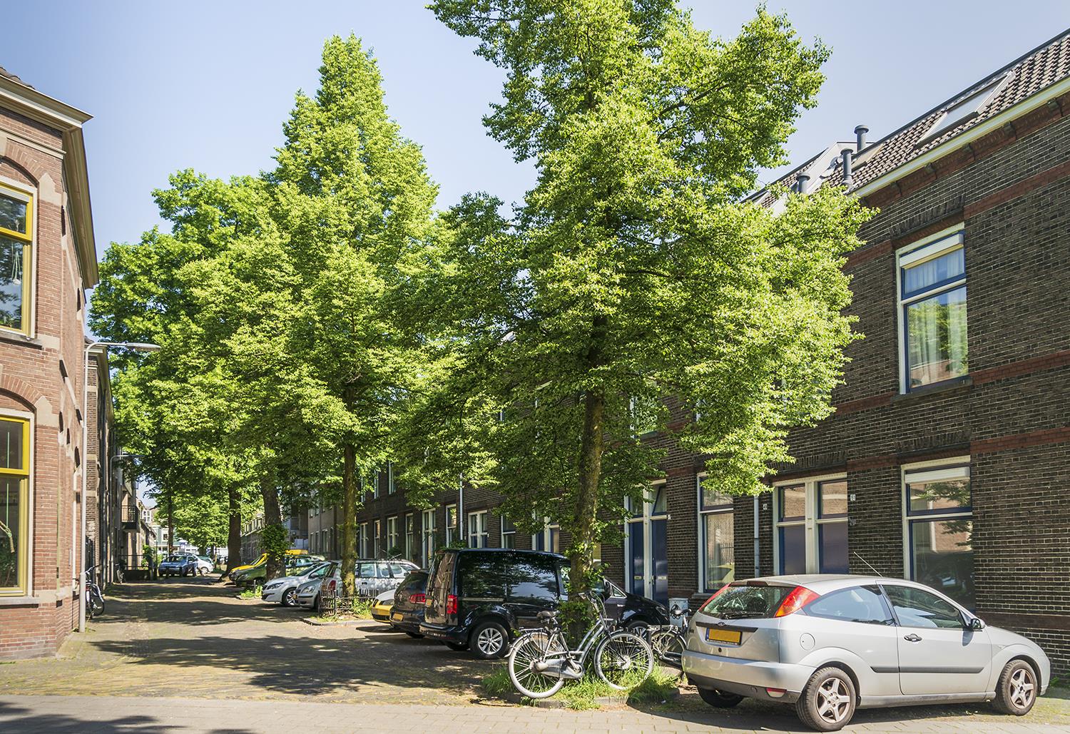 Hovenierstraat 37