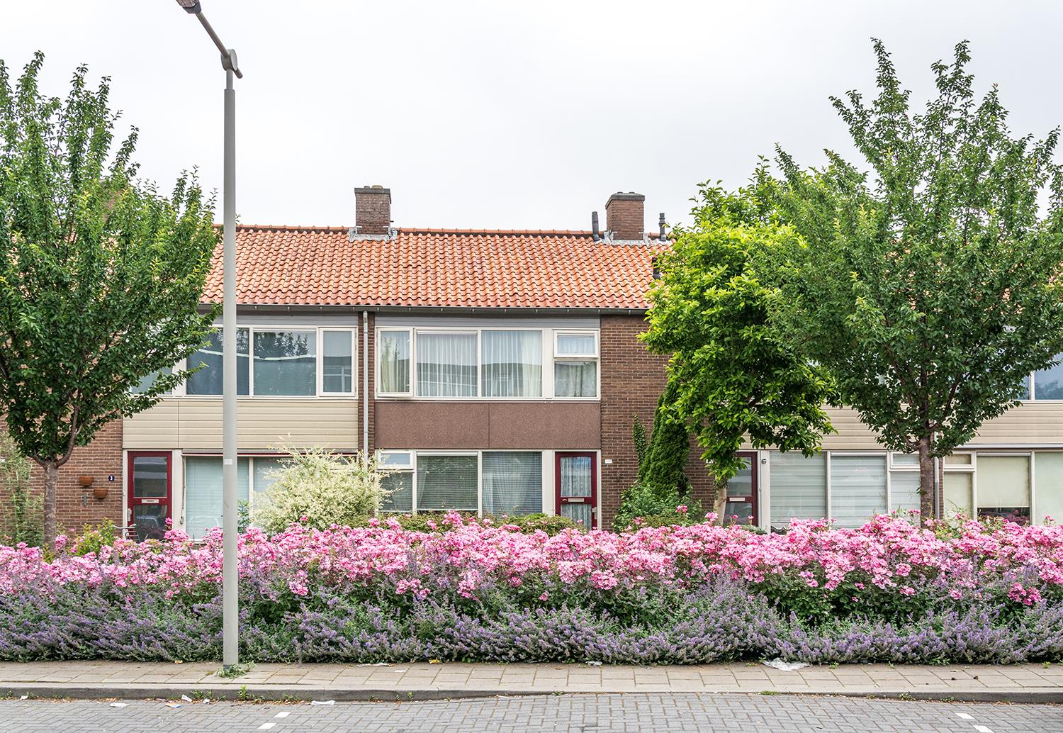 Pijlkruidstraat 5, 6832 JA Arnhem, Nederland