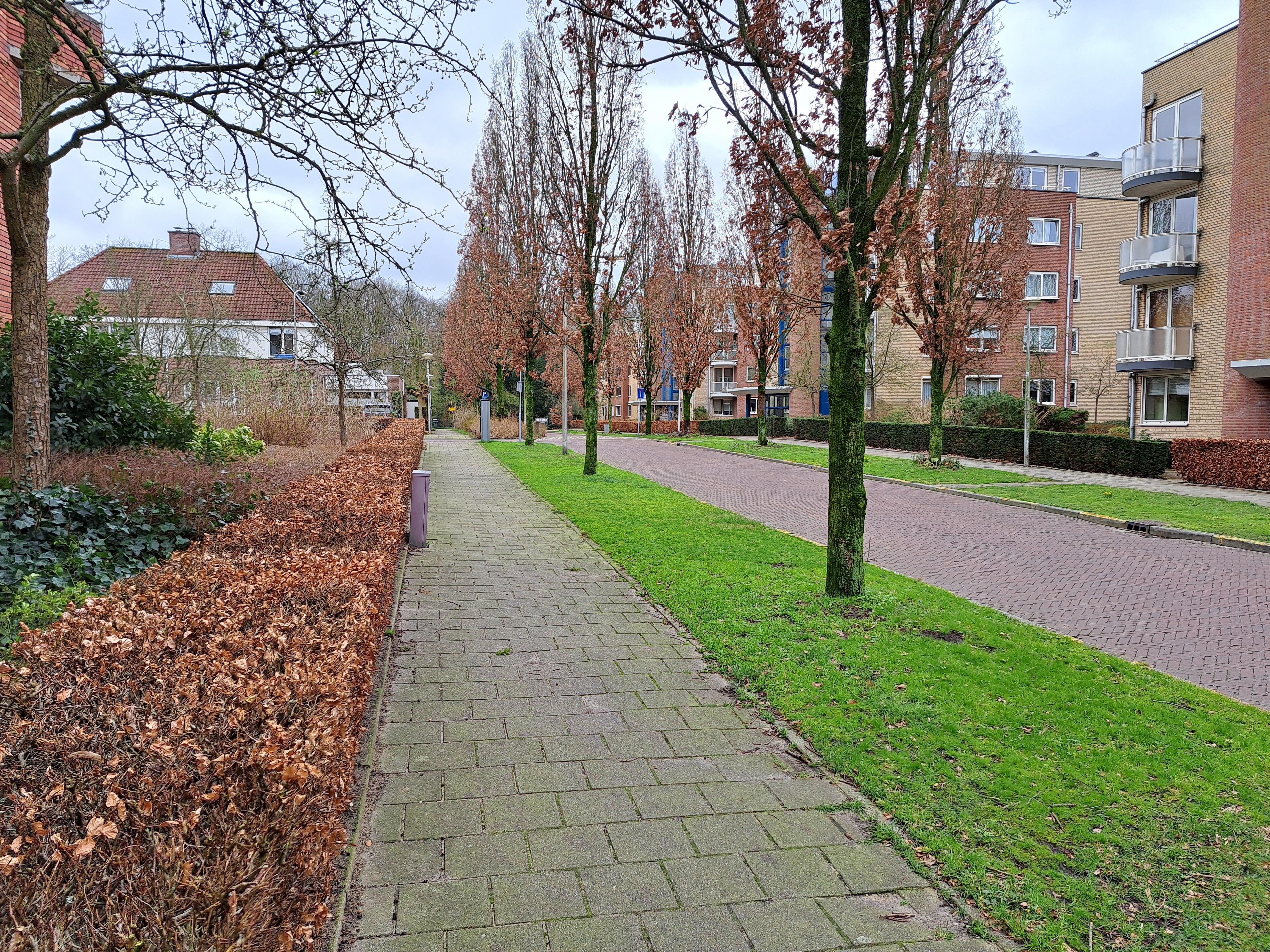 Pater Leijdekkersstraat 17