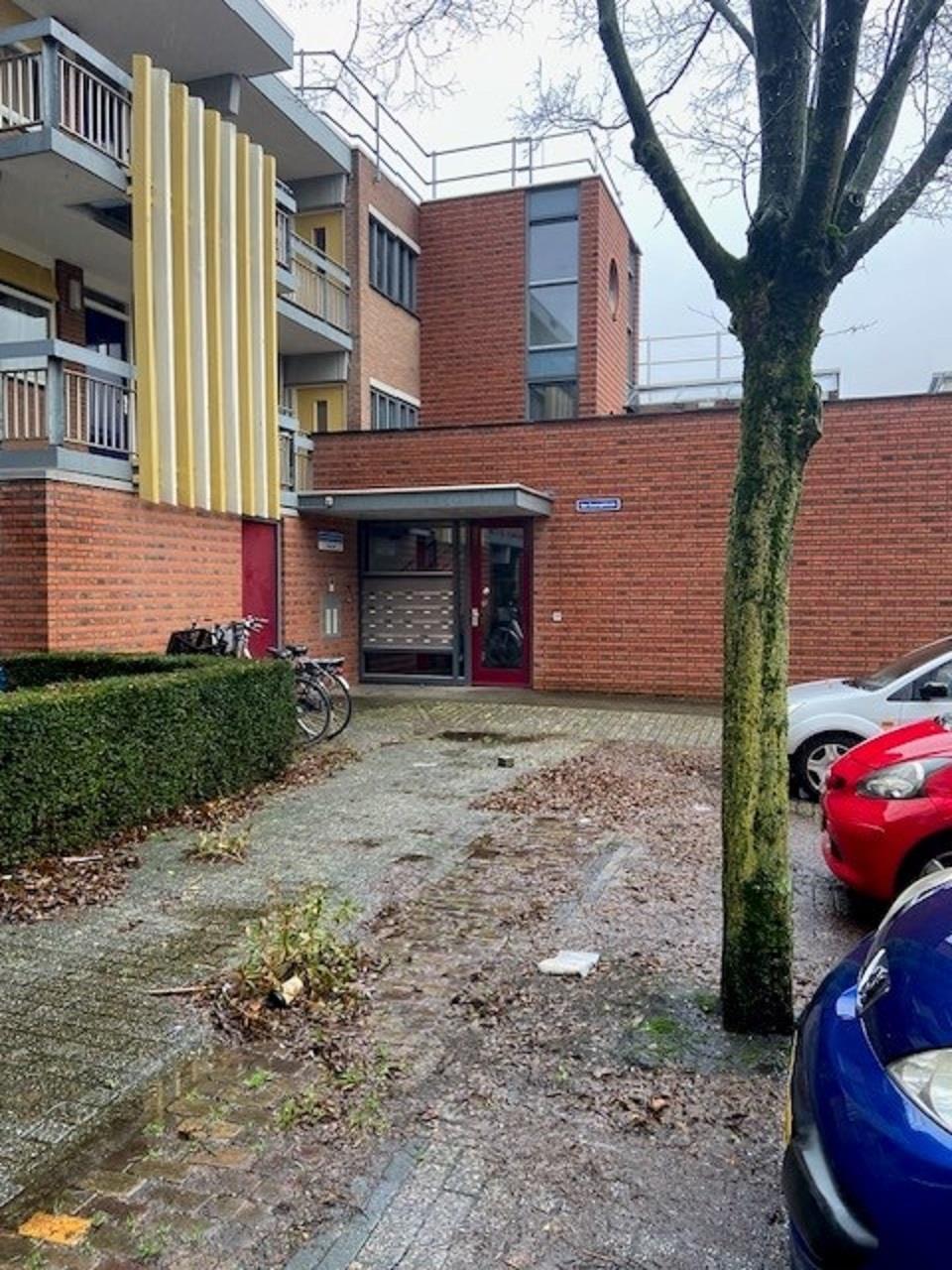 Anemoonstraat 13