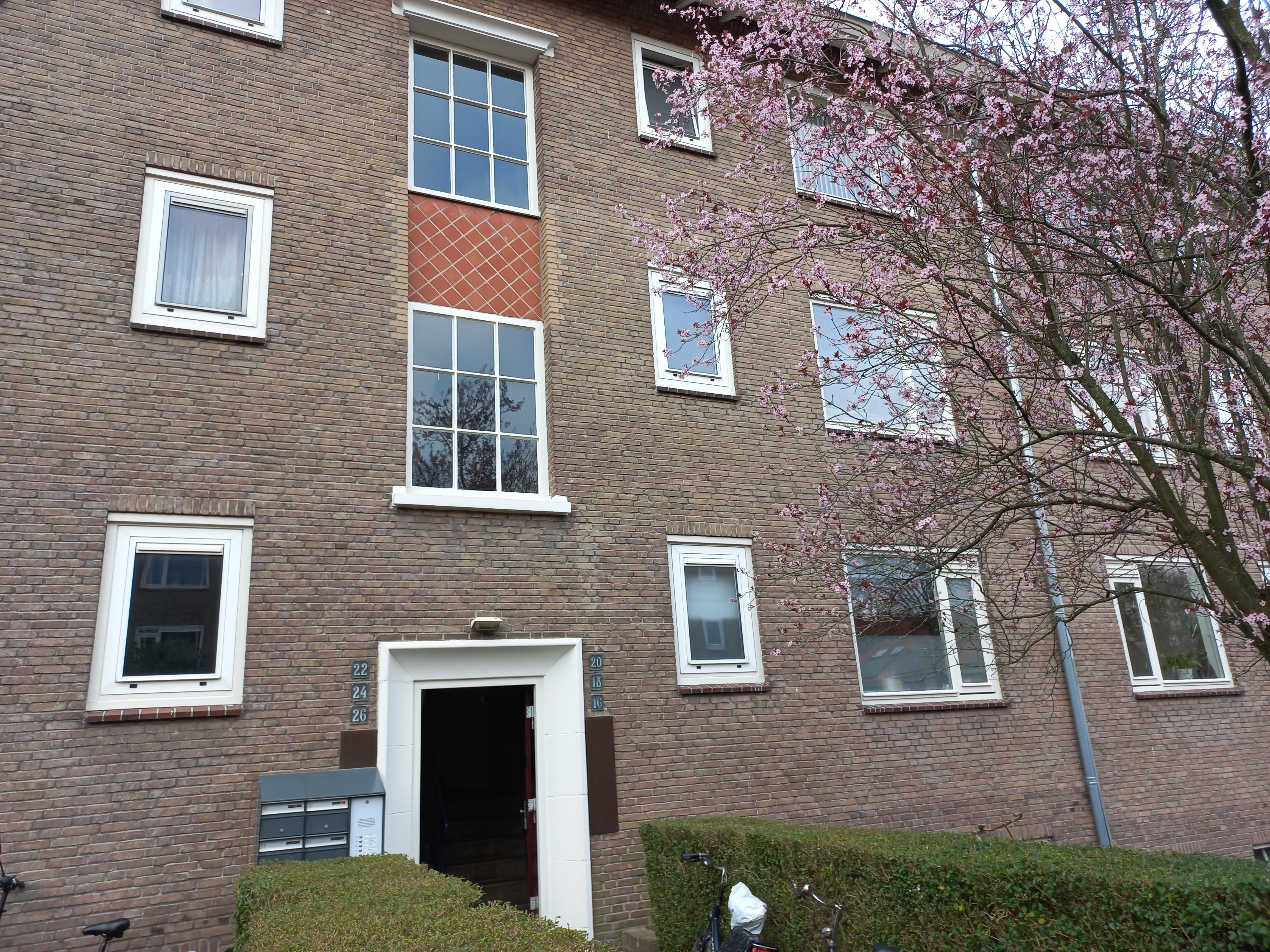 Vogelkersstraat 16