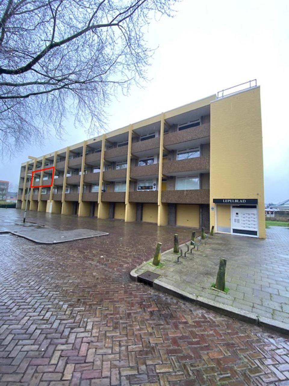 Meijhorst 3238, 6537 HX Nijmegen, Nederland