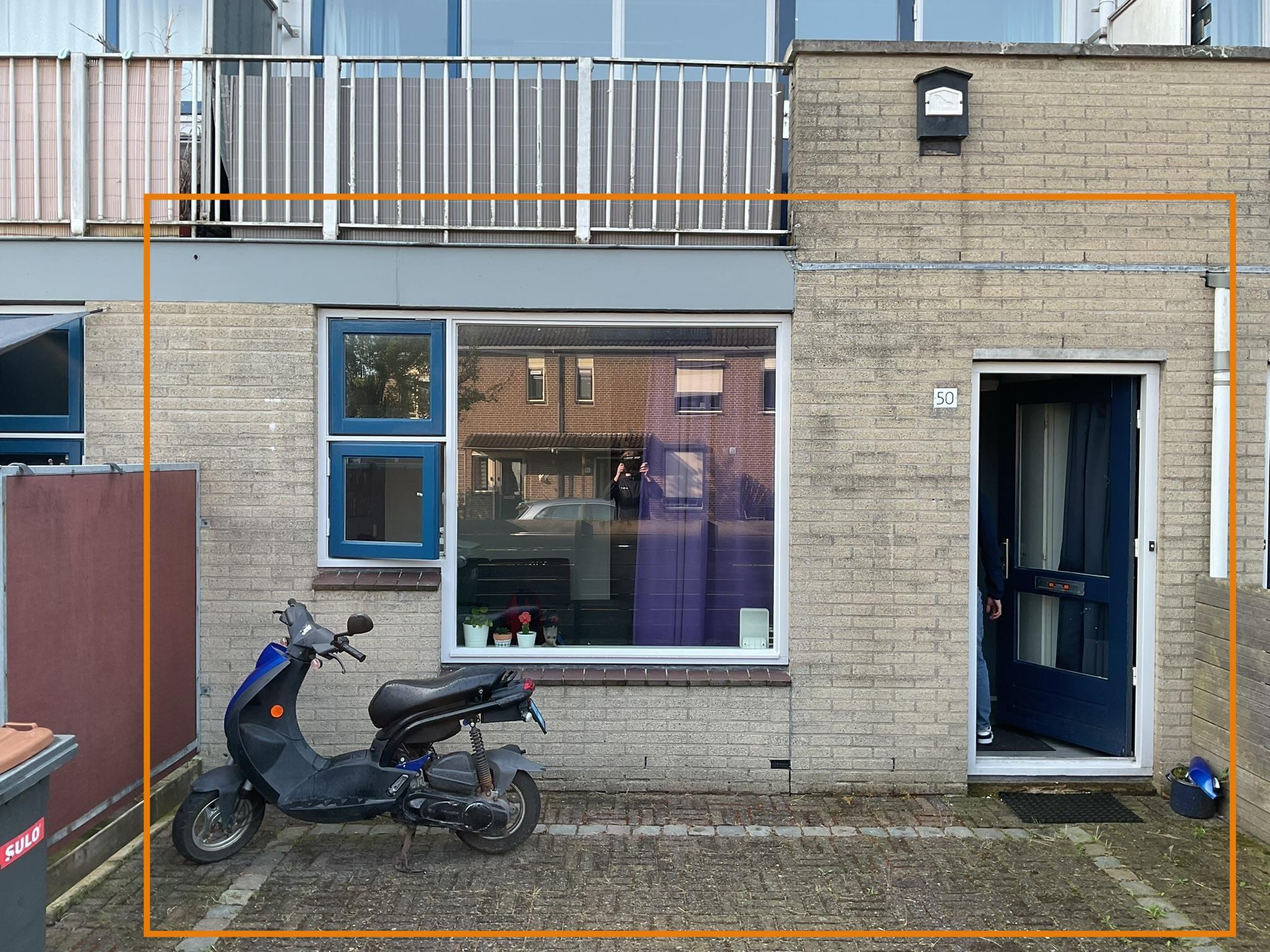 Spotvogelstraat 50