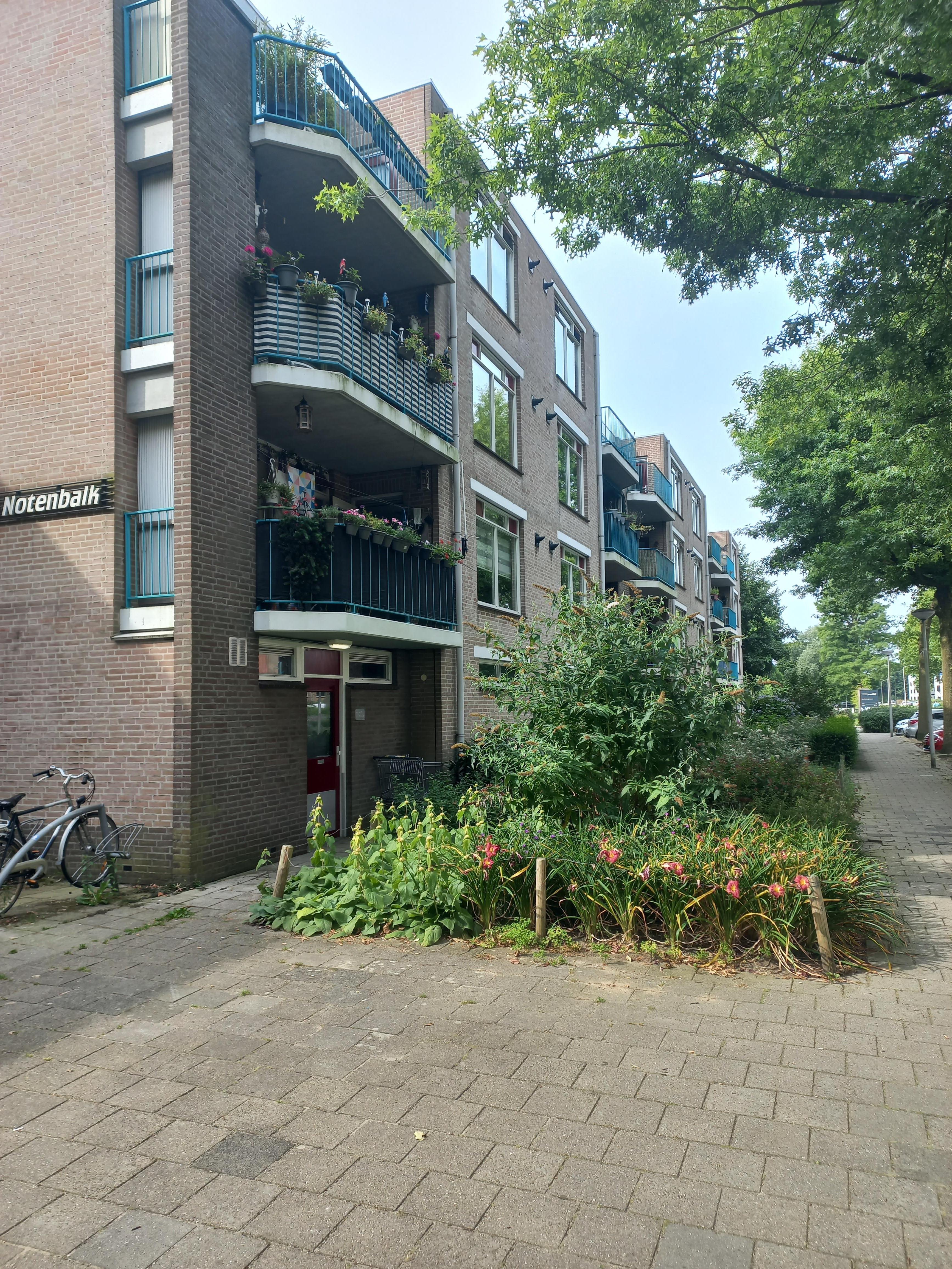 Fanfarestraat 113