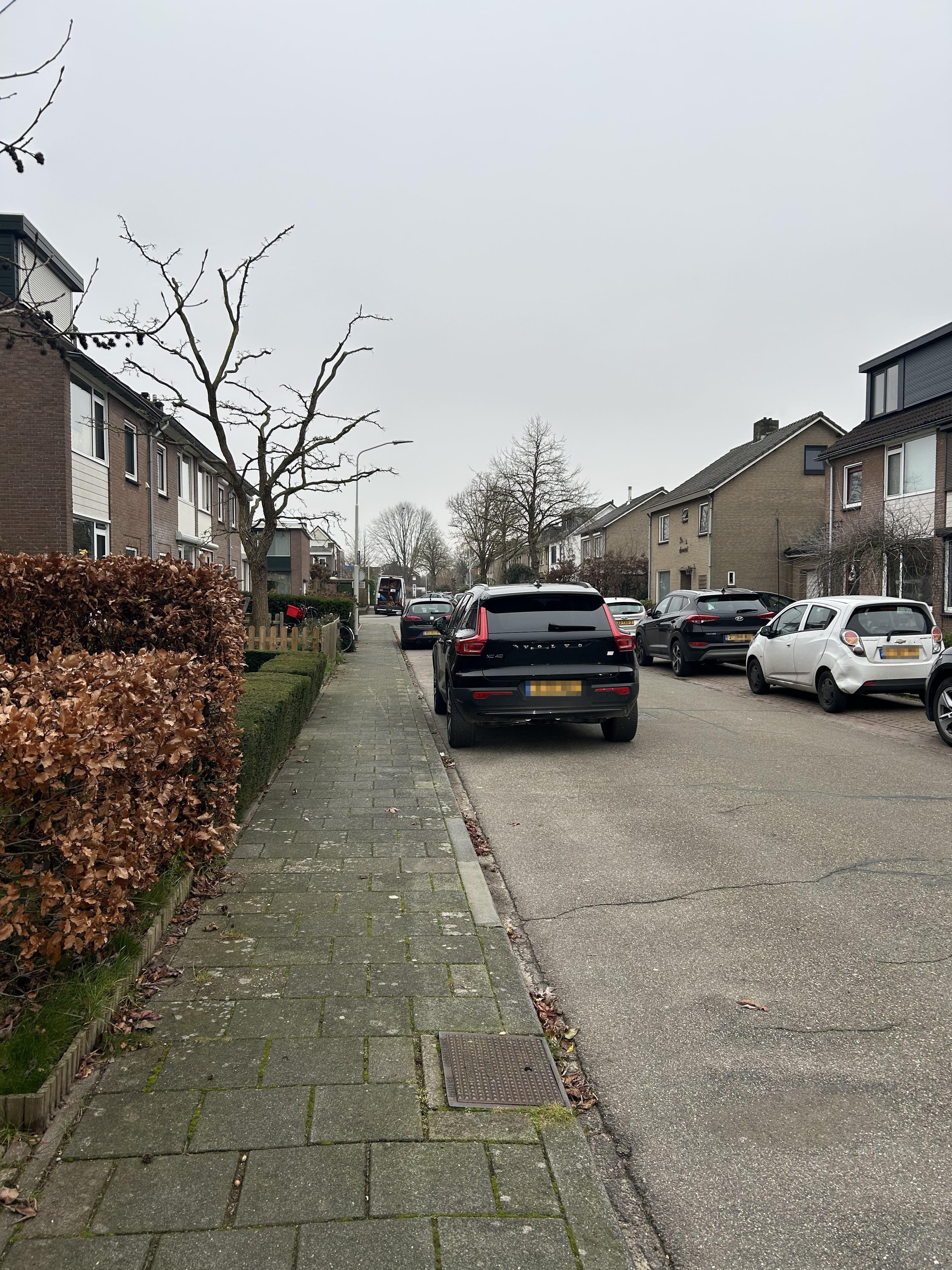 Tulpstraat 10